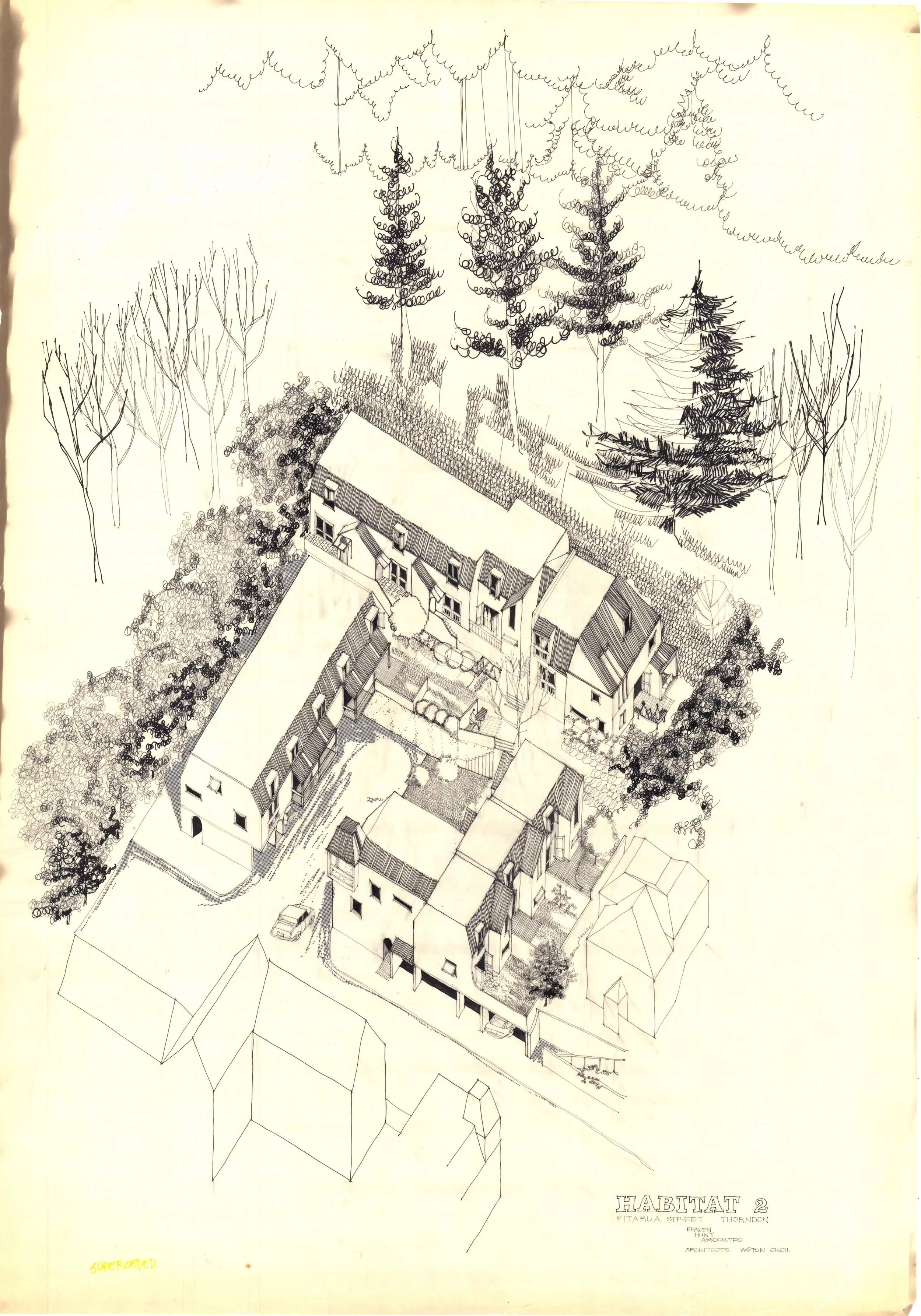 Thorndon Mews  - Burwell Hunt