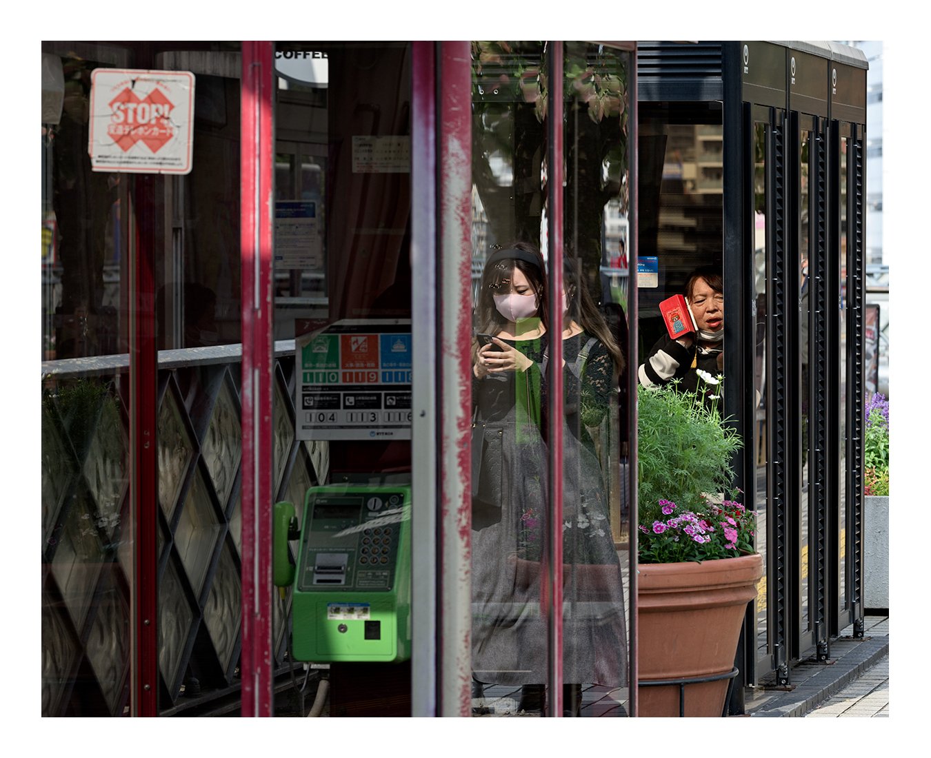 Color Reflections 2