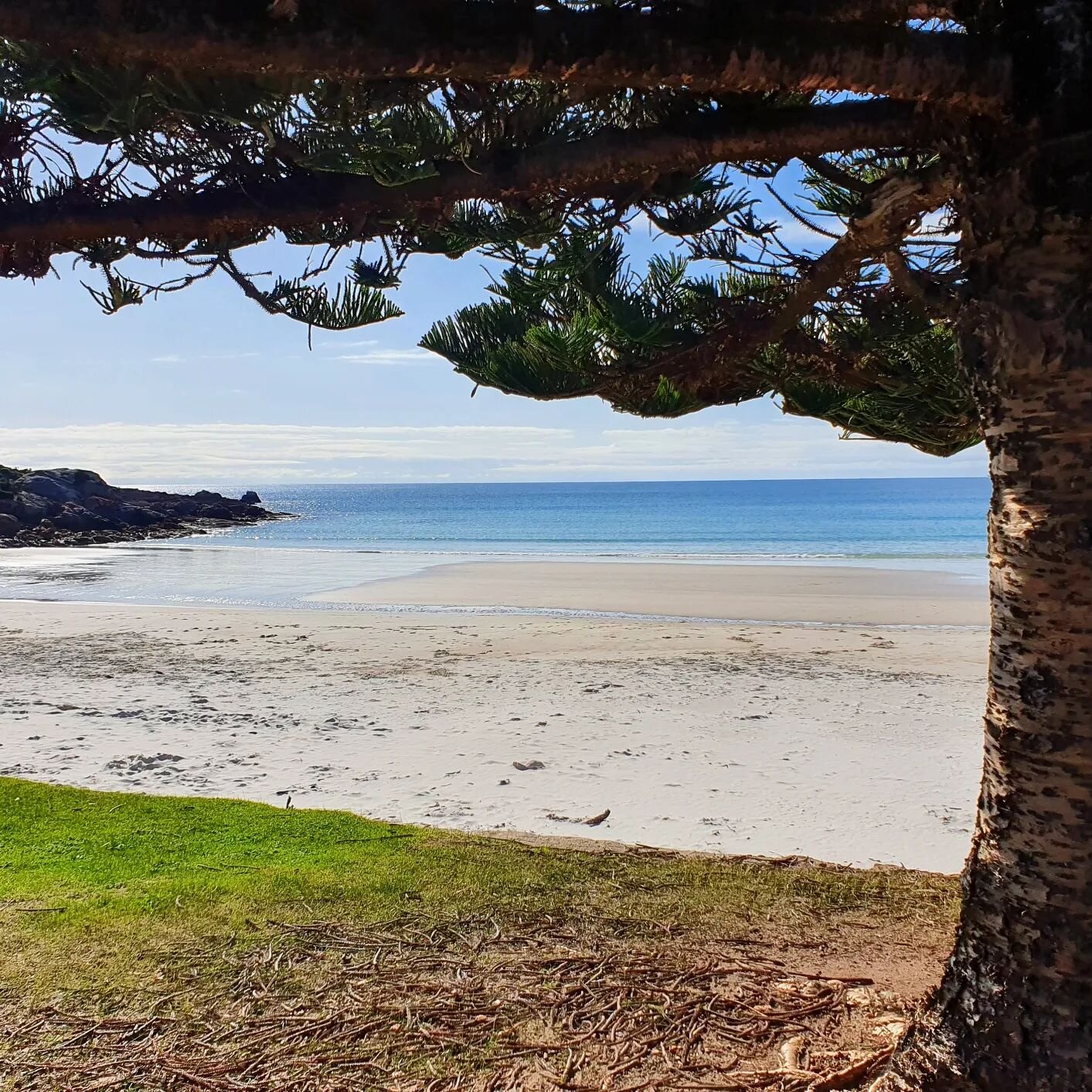 Classic Wynyard/Table Cape/Northwest Tas snaps 📸 paying homage to Mr. F. M. Alexander 🙏 

#musiciansontour #tablecape #alexandertechnique #bluesky #sun #love