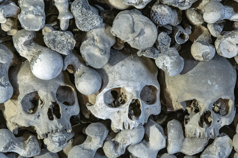 Human skulls and bones stacked on top of one another.