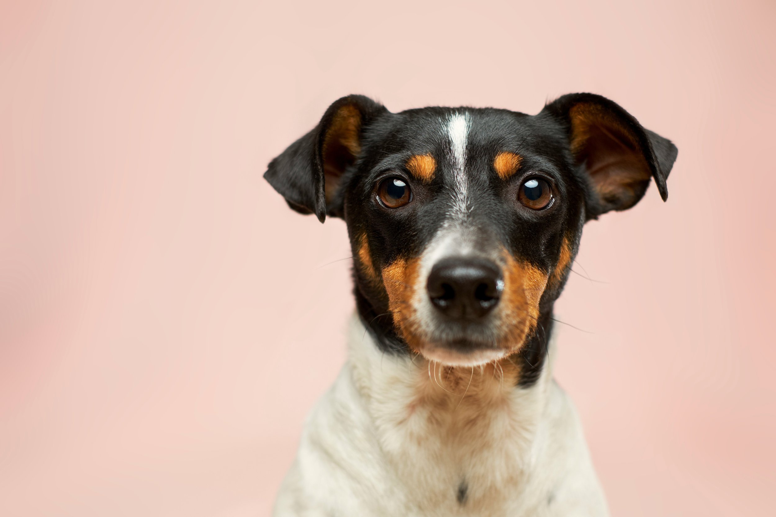 Command centre: using imperatives in copywriting