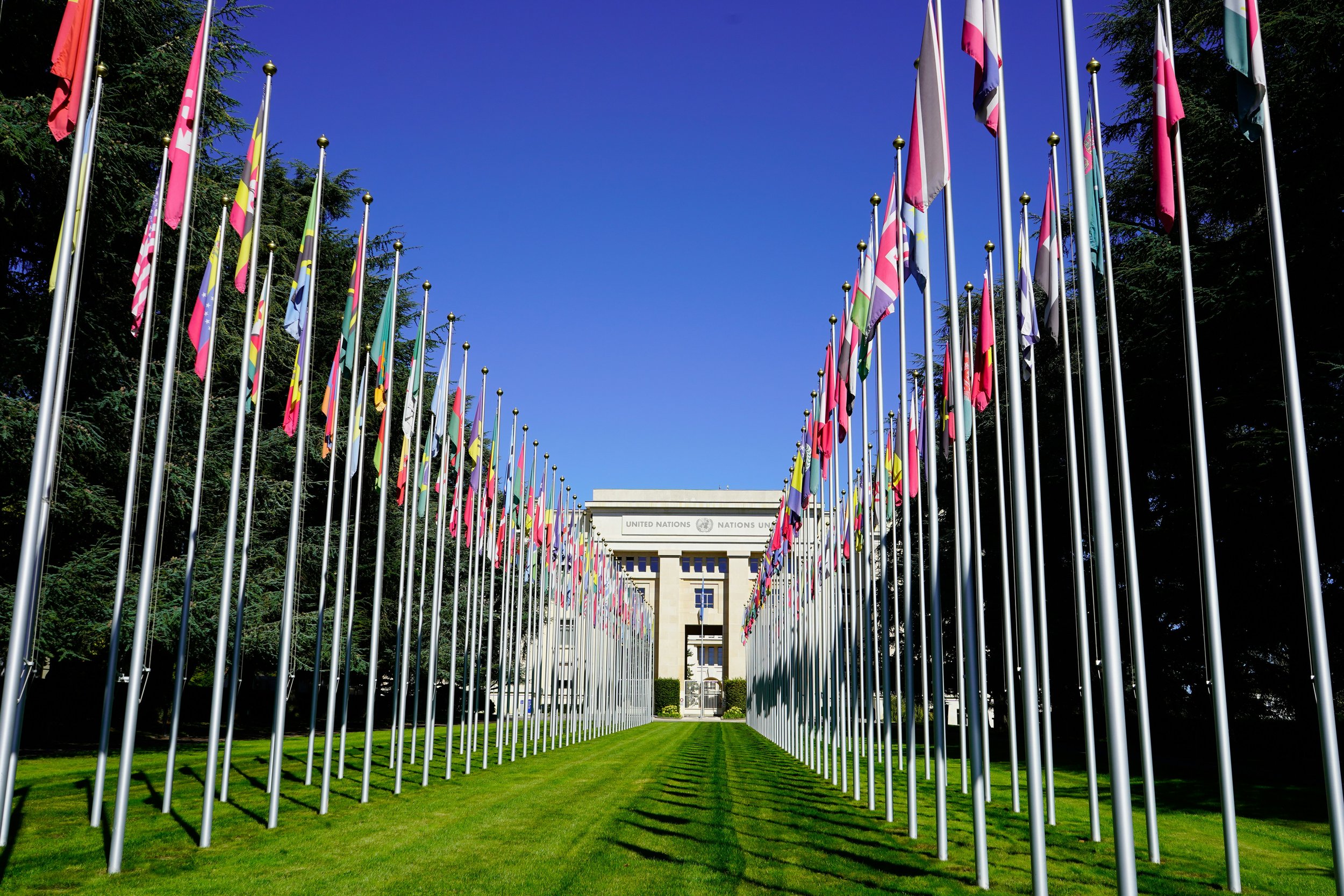 Inventing a language of peace