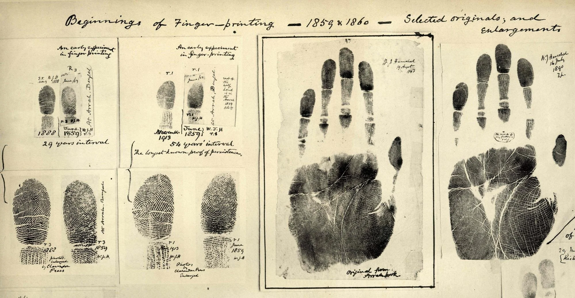 Forensic linguists identify criminals by their writing style