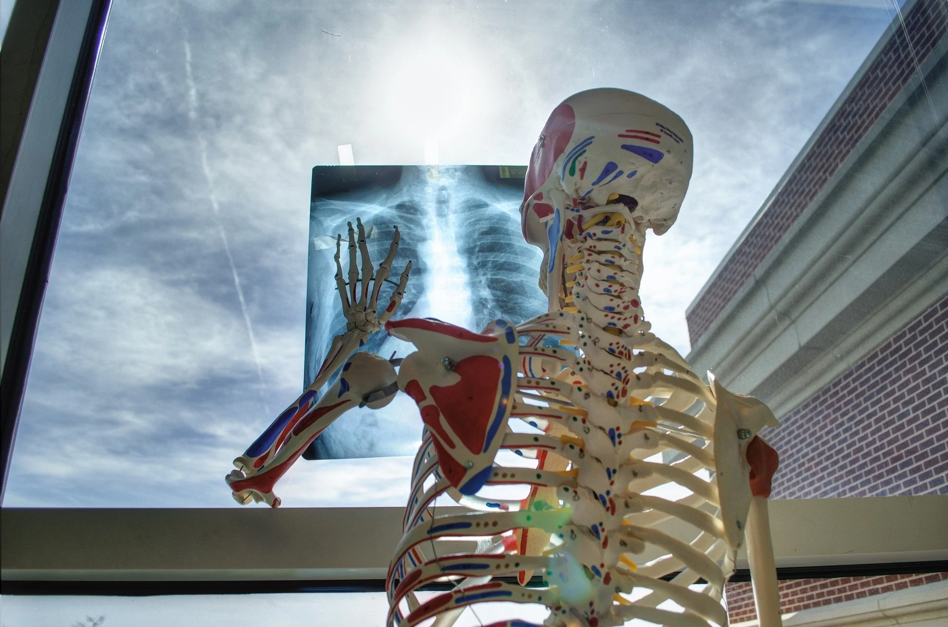 A body of writing: good bones are just the beginning