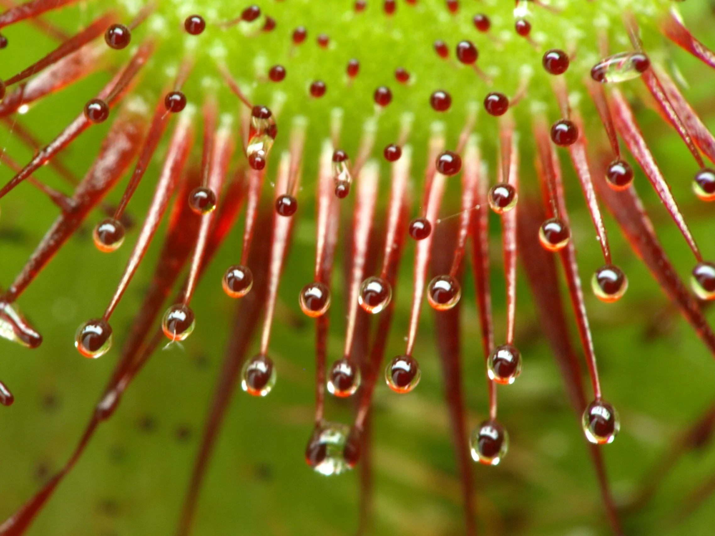 Three tricks to writing sticky web copy