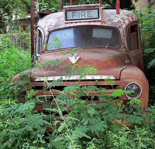 A rusty old Studebaker fire truck sits abandoned, with grass growing high all around it.