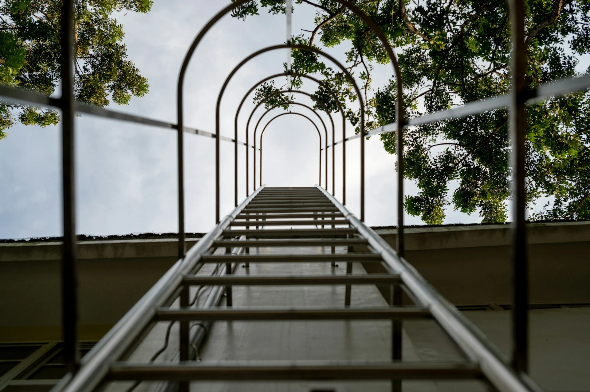 Looking up to the end of a ladder towards the sky.