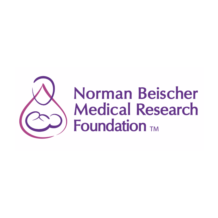 Norman Beischer Medical Research Foundation logo