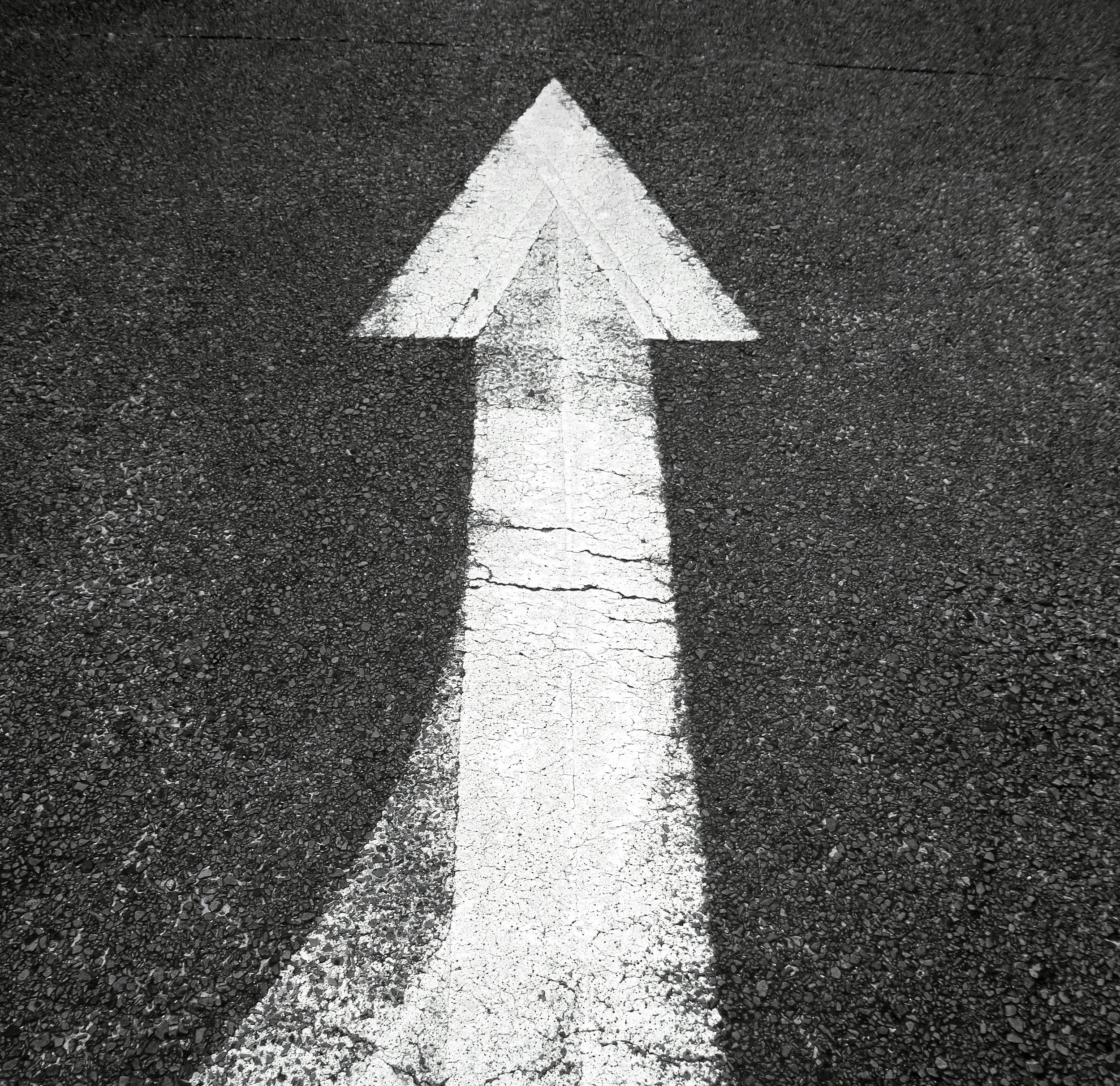 A white arrow pointing north painted on a road.