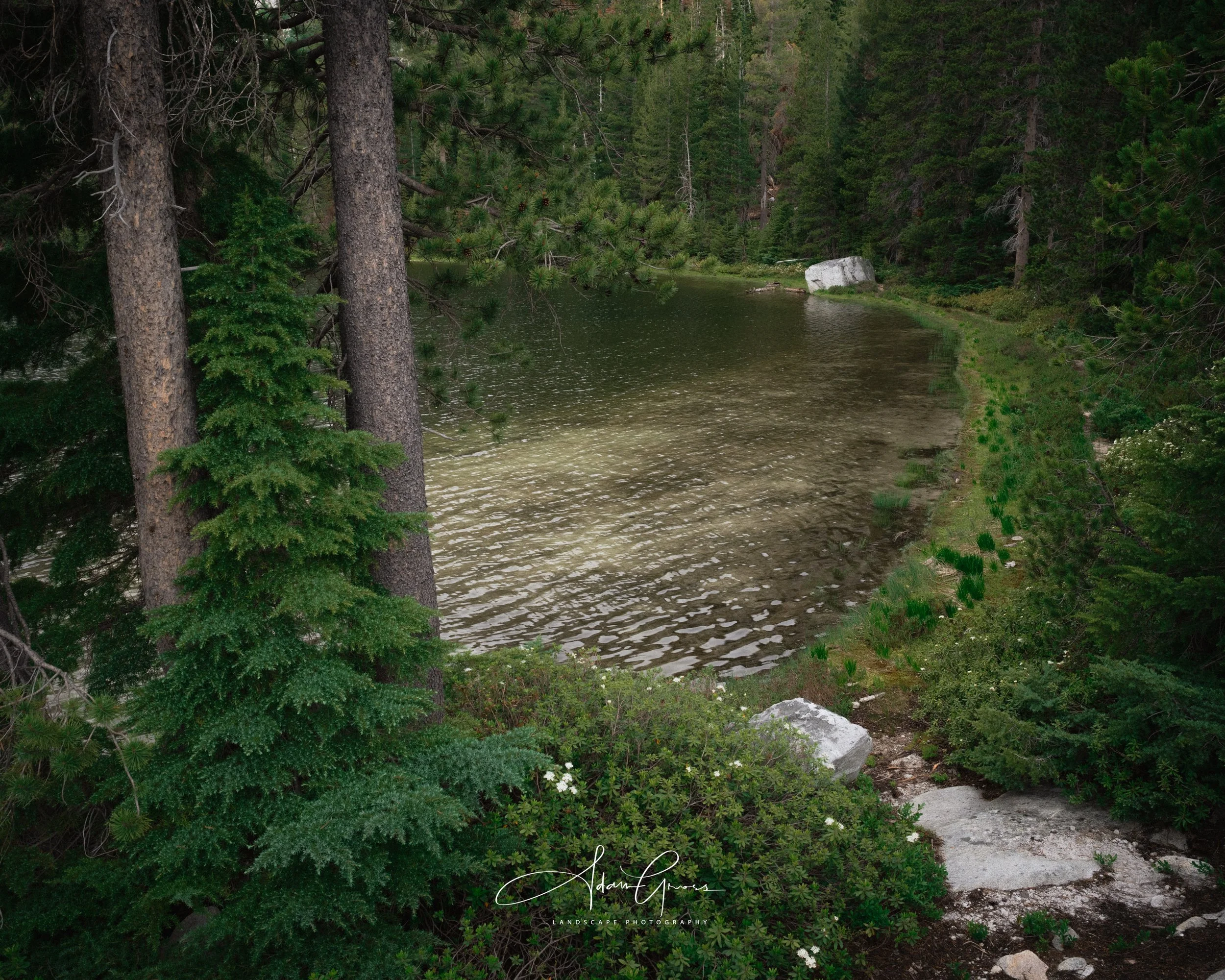 Russian Wilderness, Klamath Mountains