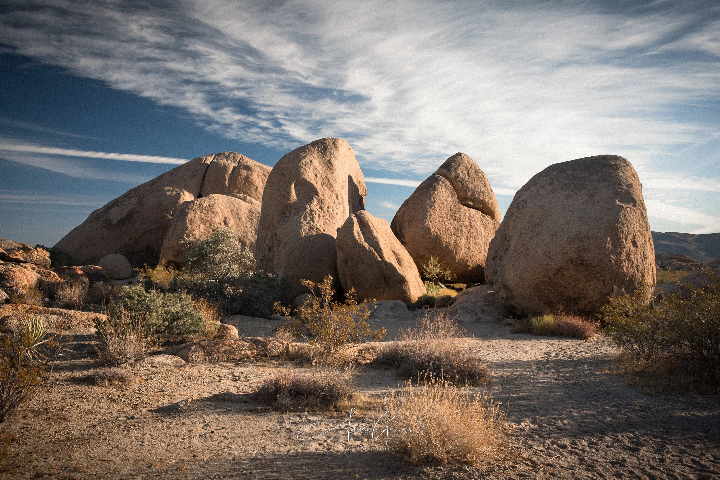 Joshua Tree