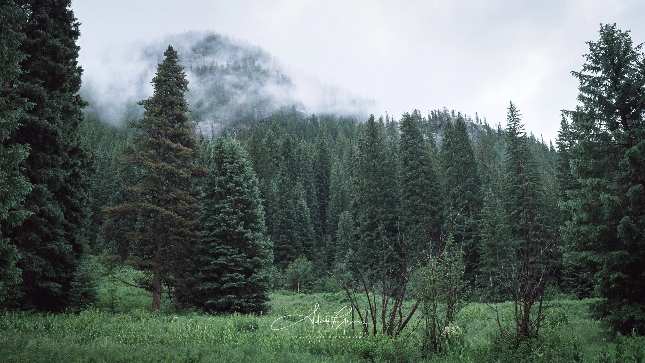 Holy Cross Wilderness, Colorado