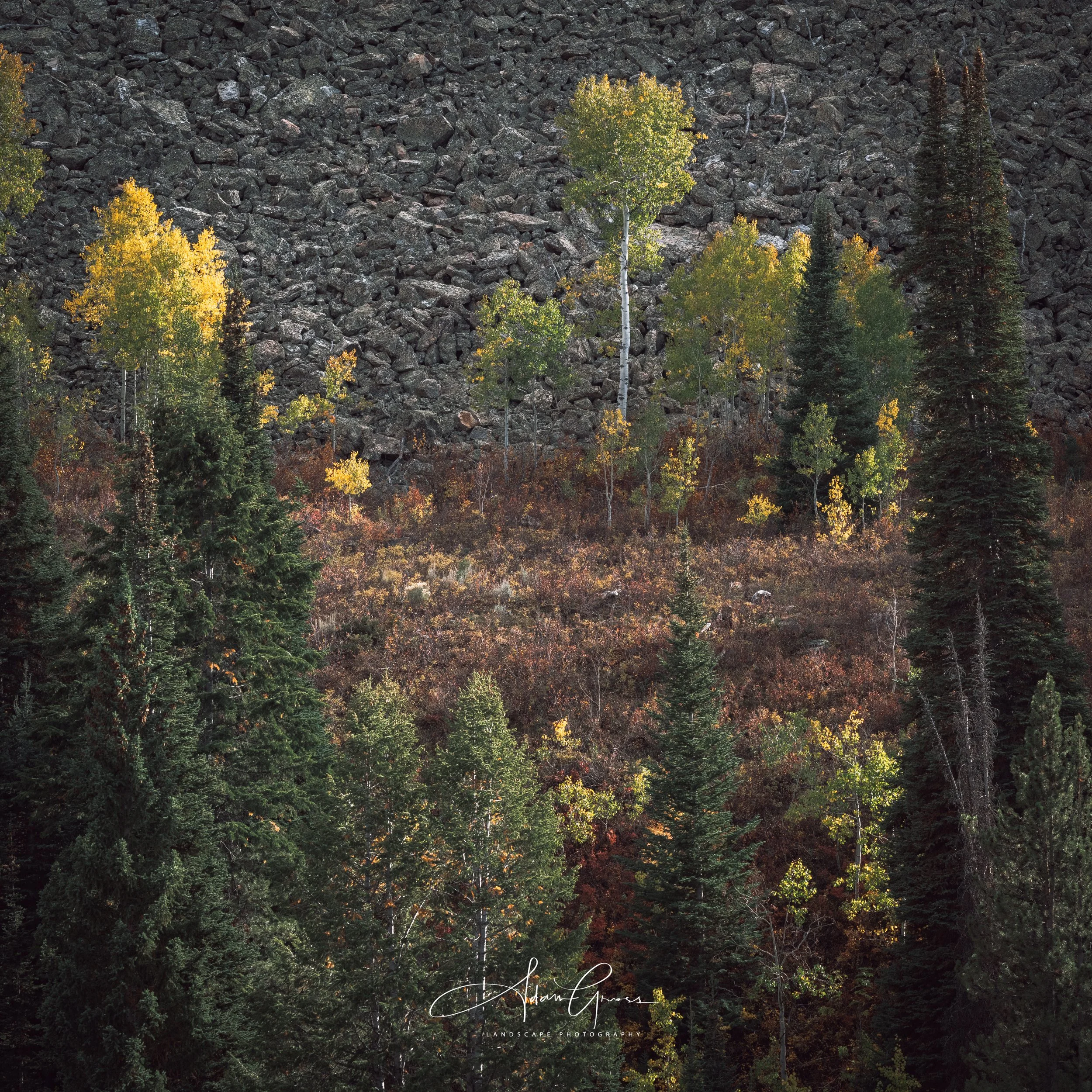 Uinta Mountains