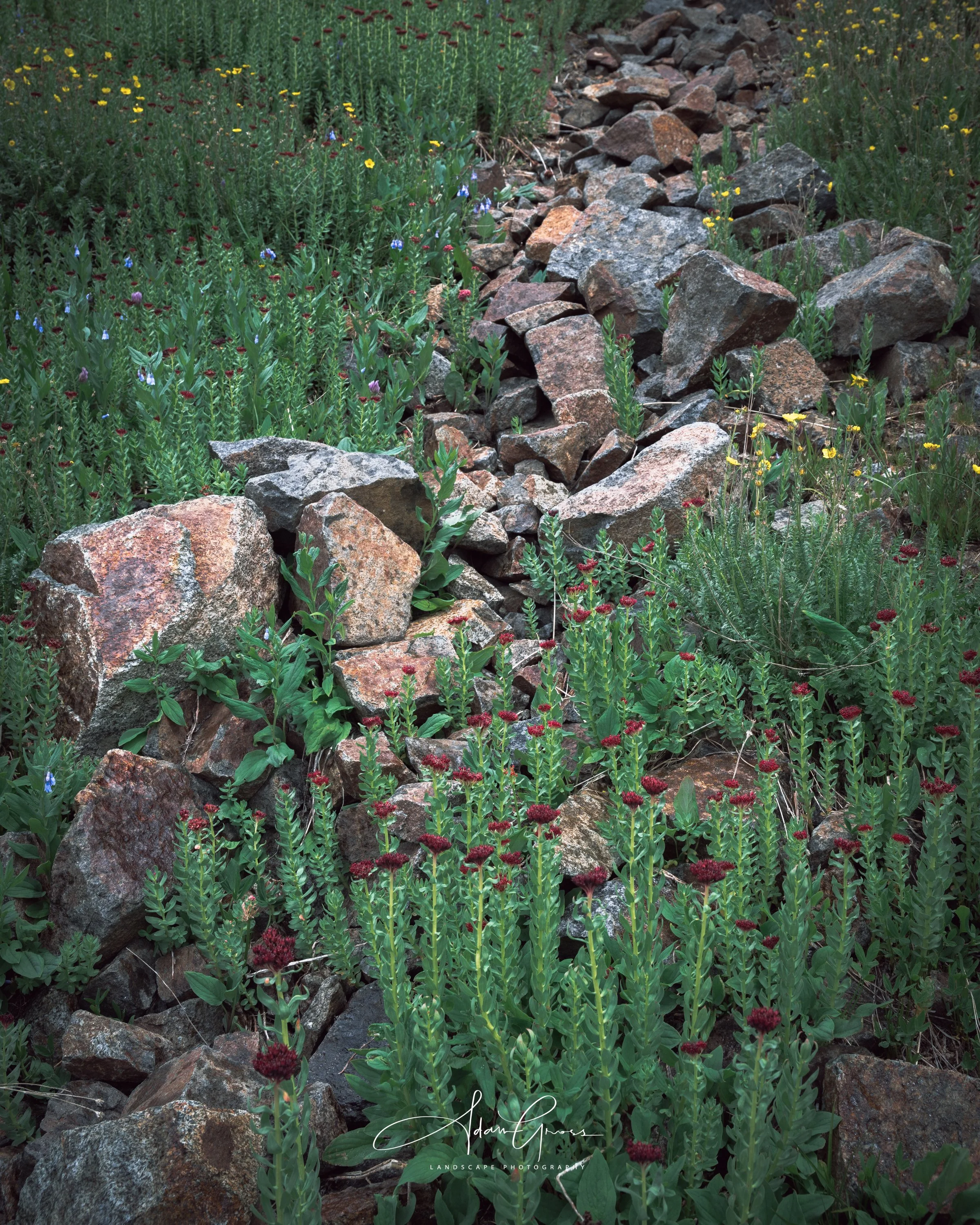 Sneffels Wilderness