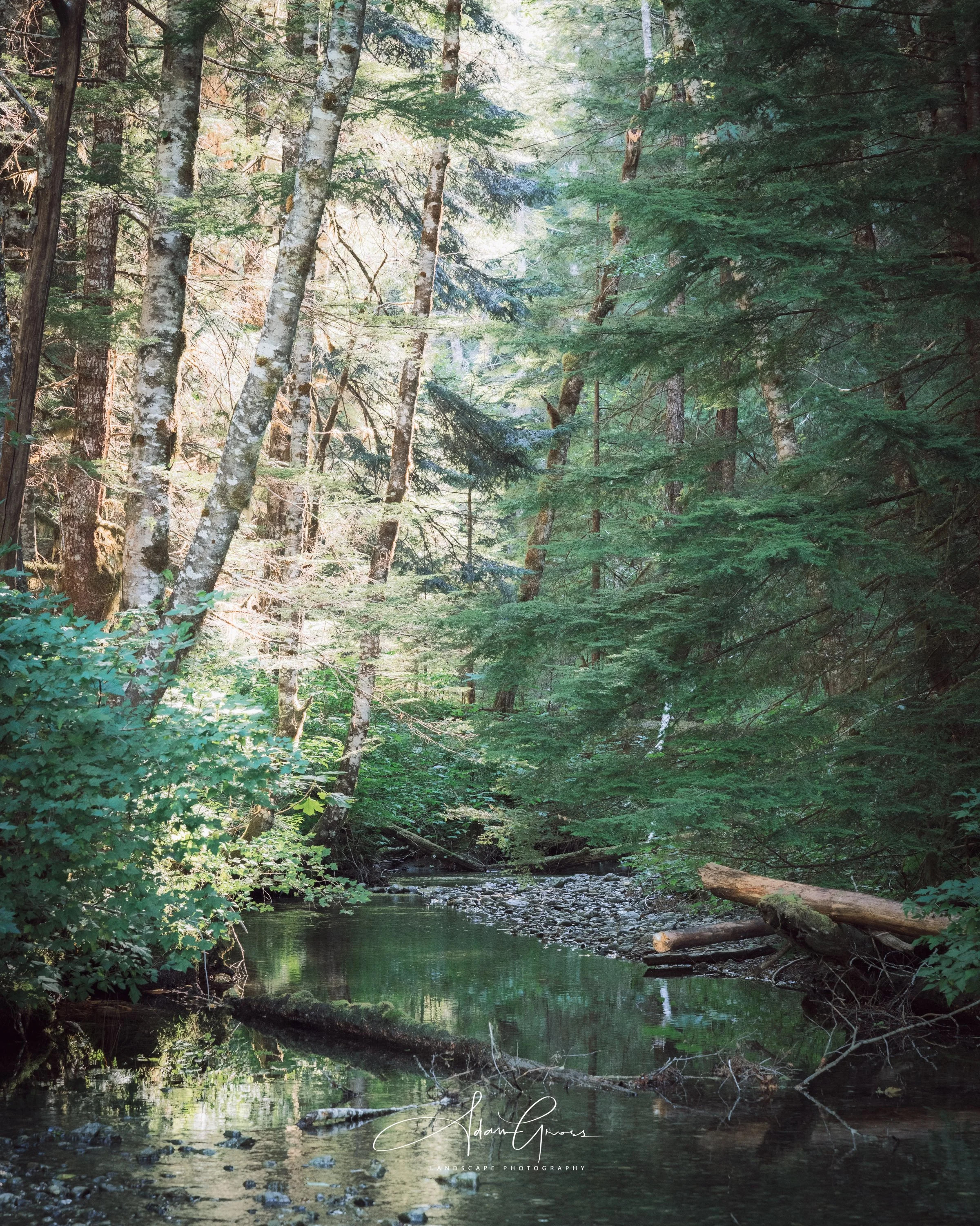 Vancouver Island