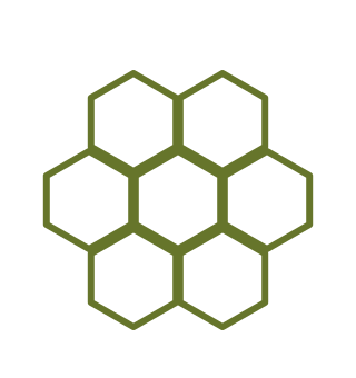 Connected civic systems representing collaboration between residents and local government.
