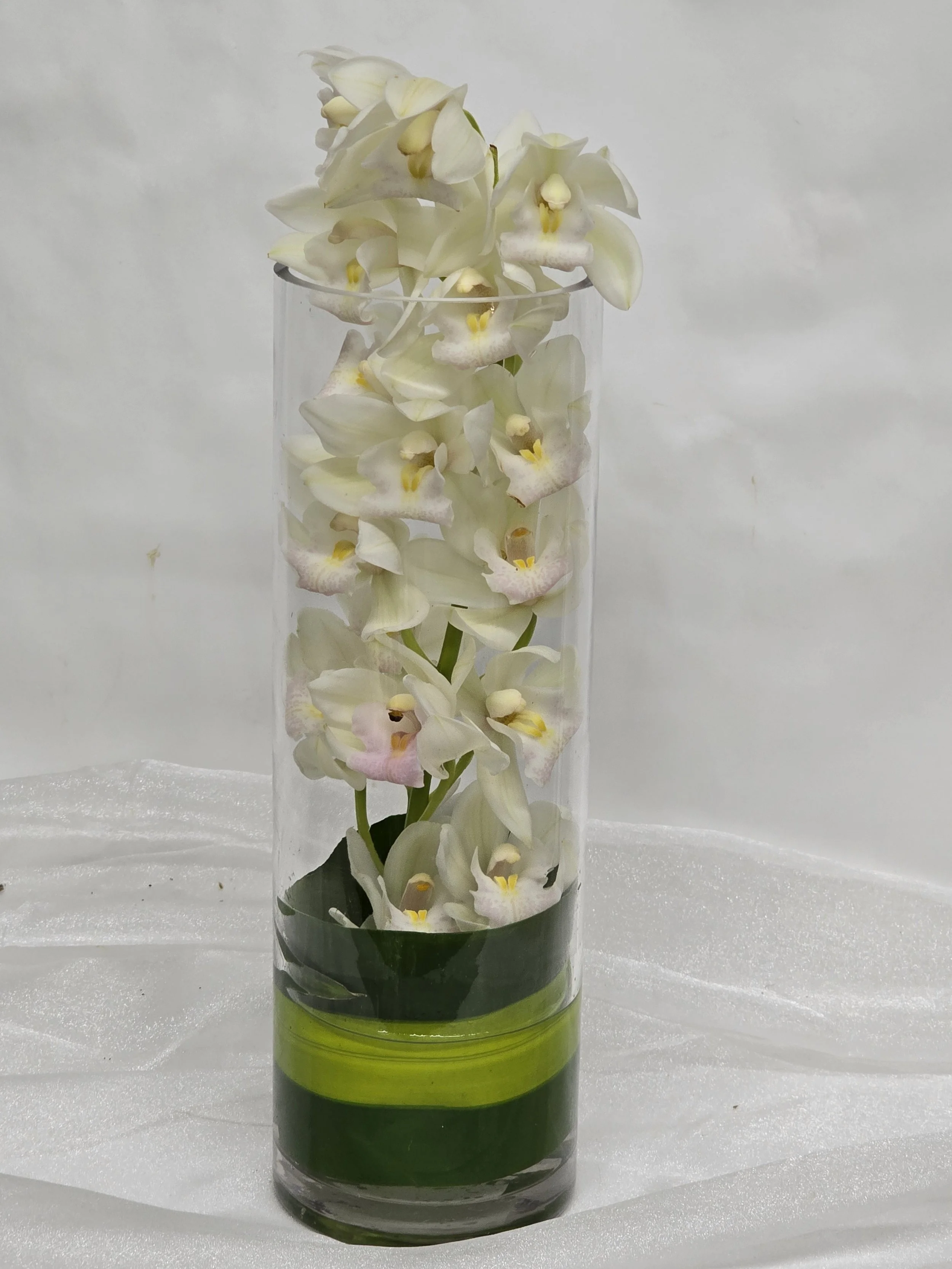 Orchid elegance