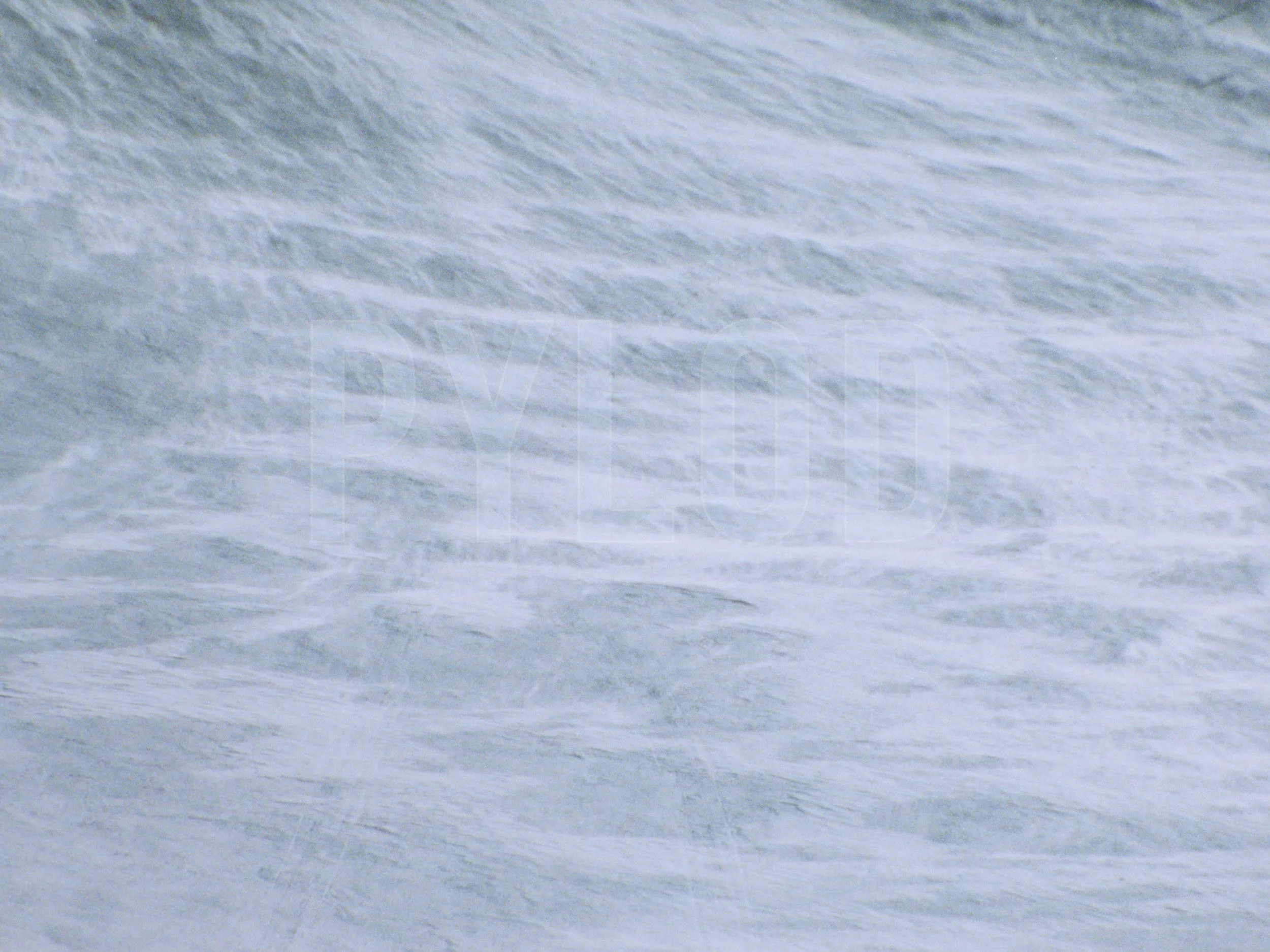  PYLOD STILLS-02-2.jpg