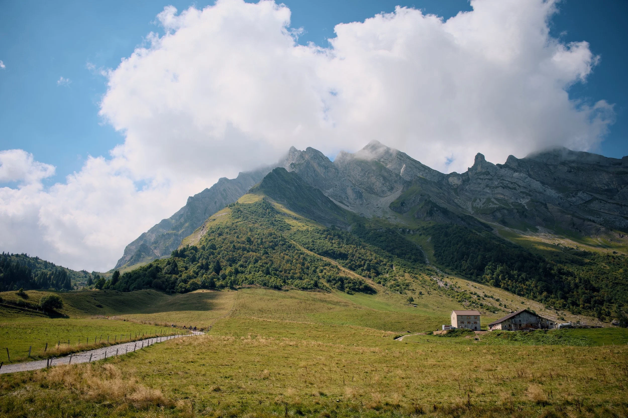 Là où le chemin s'élève - 2025