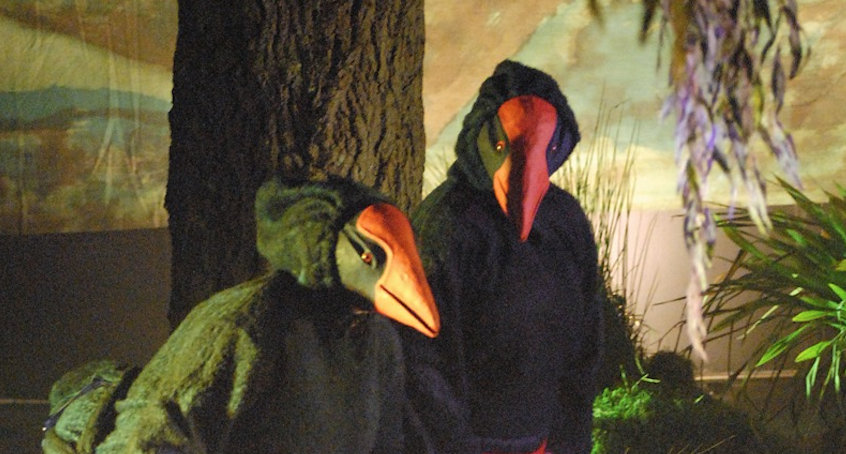 swamp pukeko.png