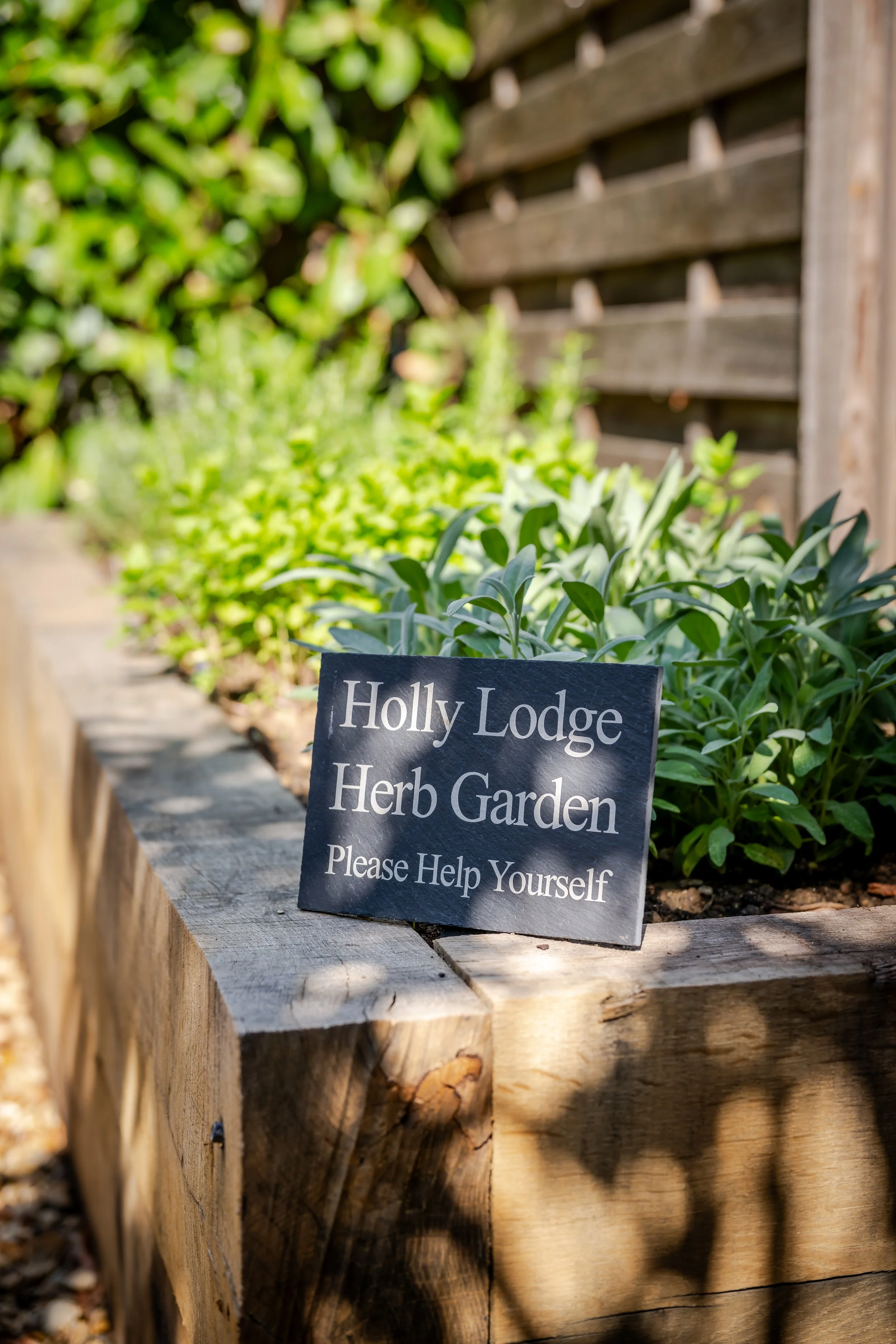 260915 - Holly Lodge, Bedford - 115.jpg
