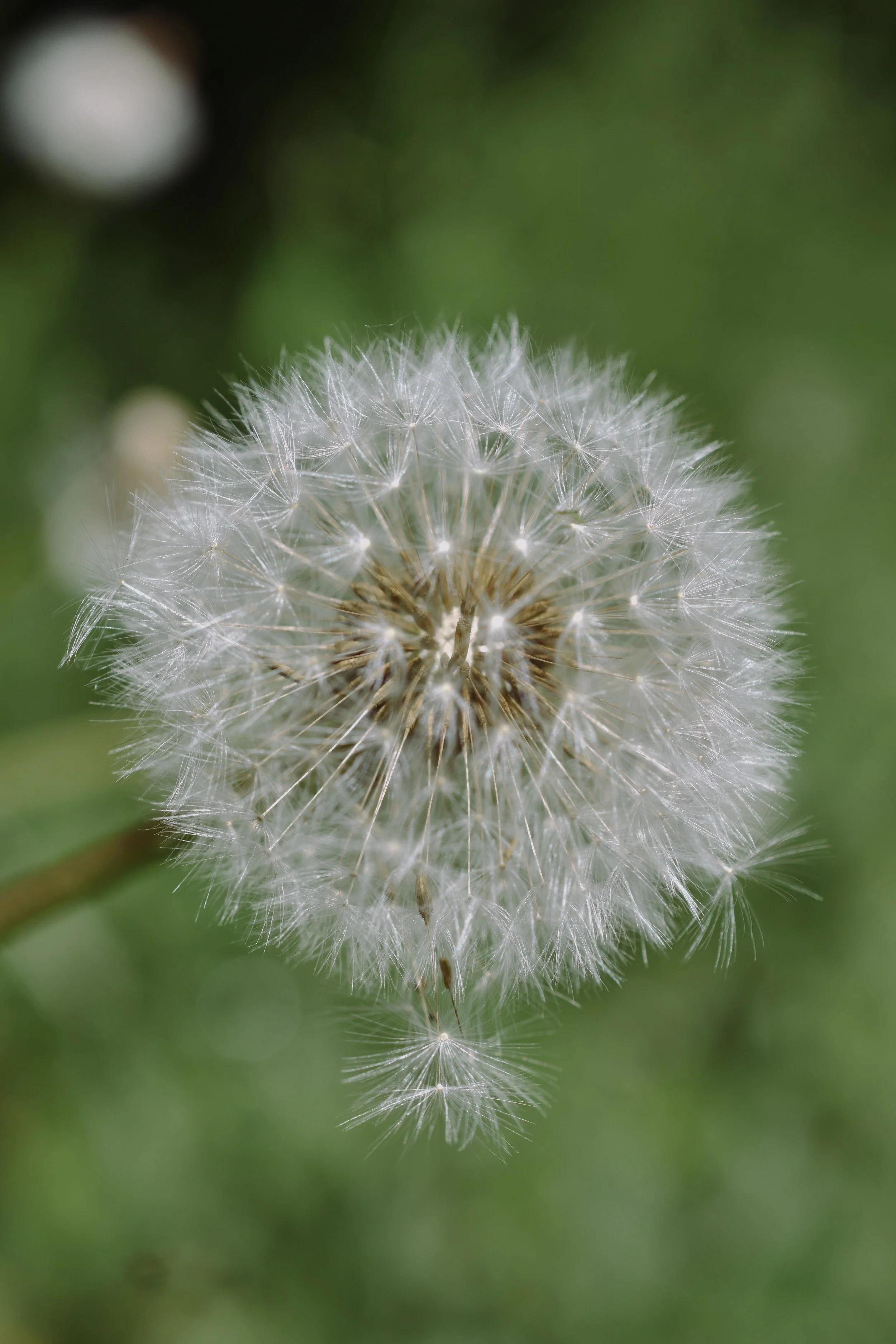 DSC_6581.JPG