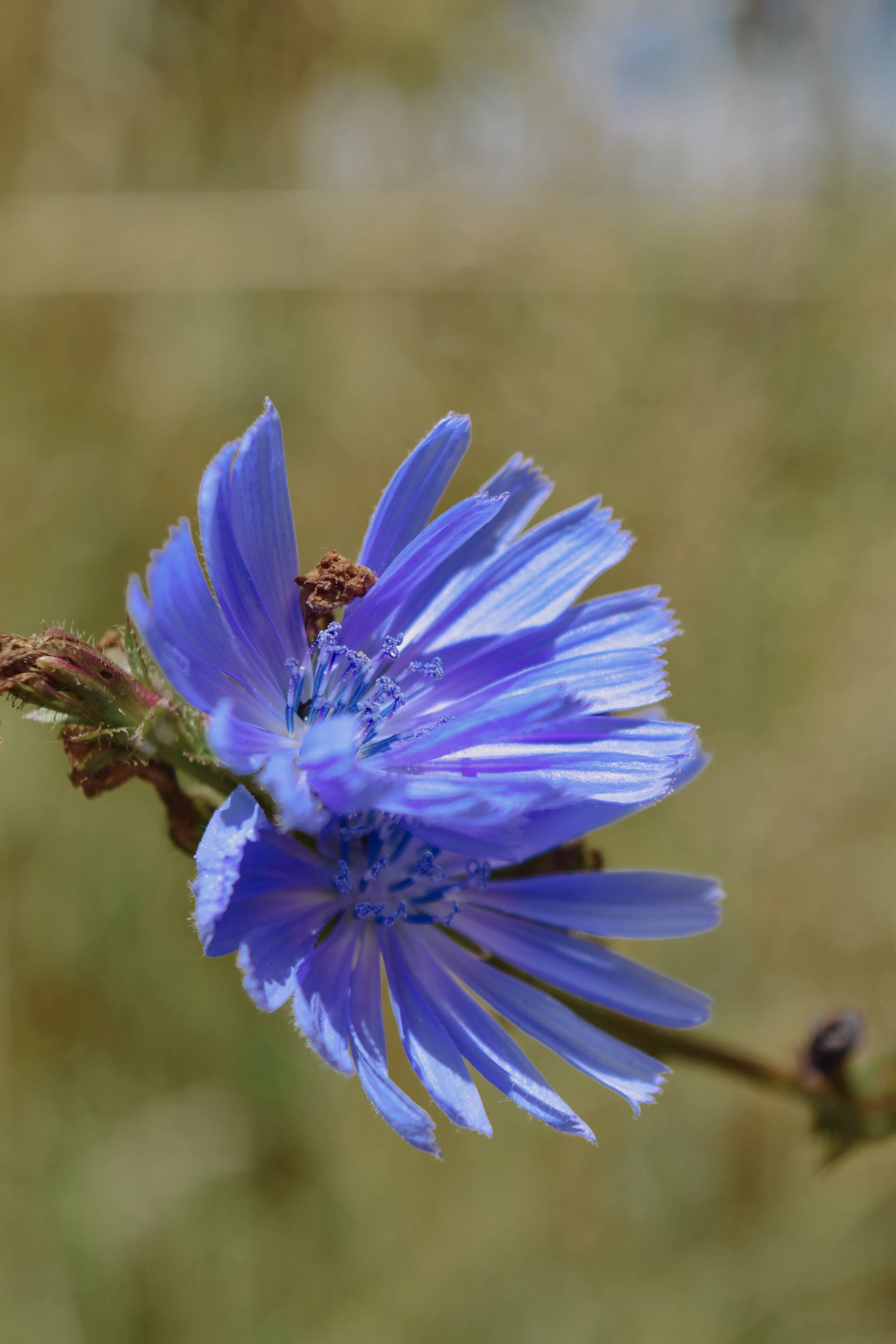 DSC_6736.JPG