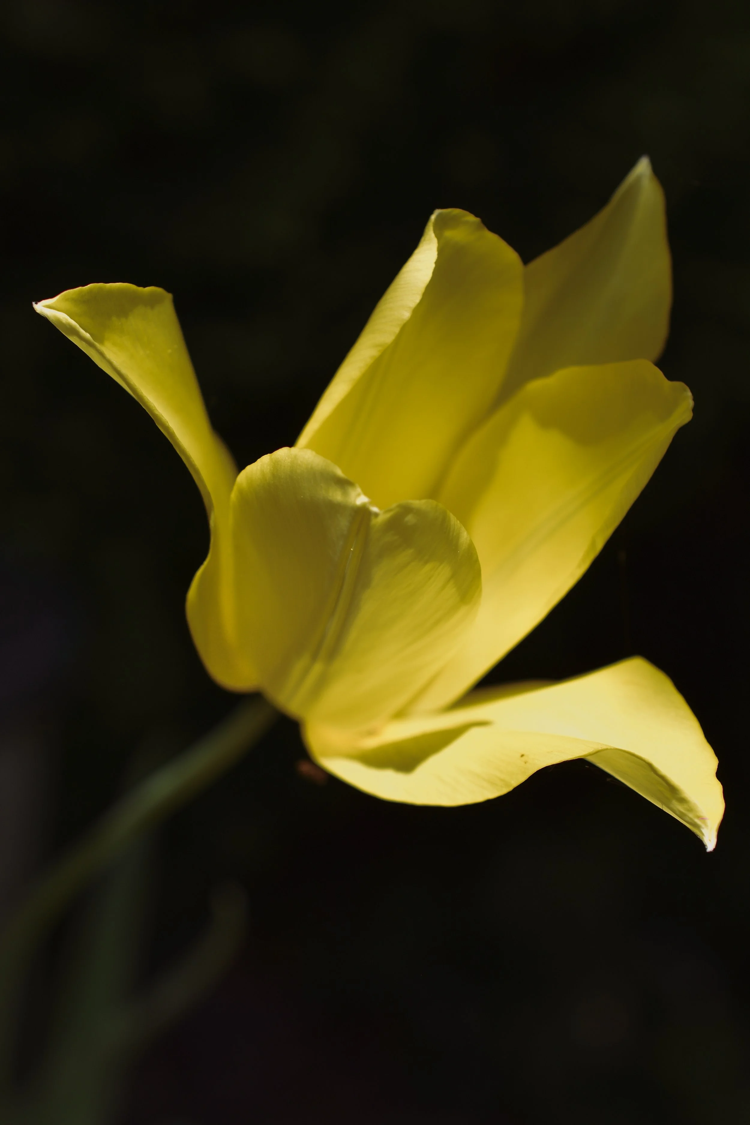 DSC_6580.JPG