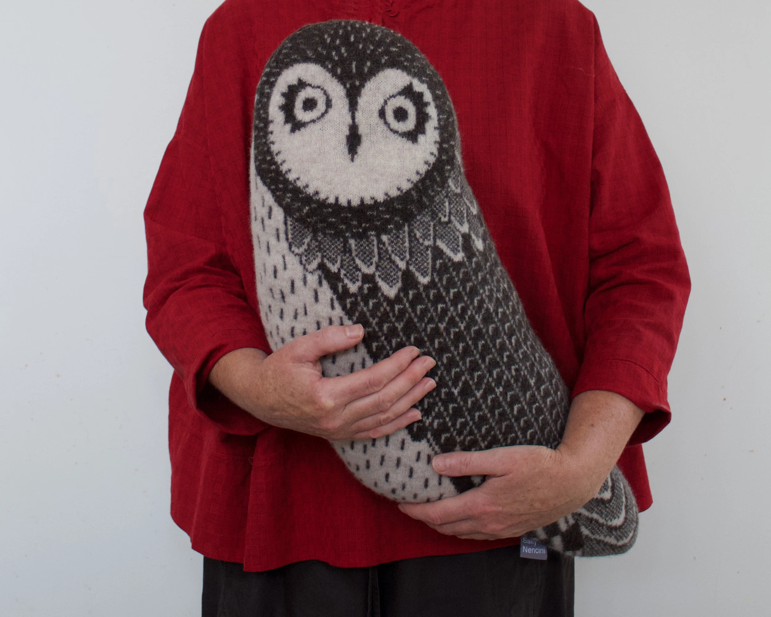 Short Eared Owl