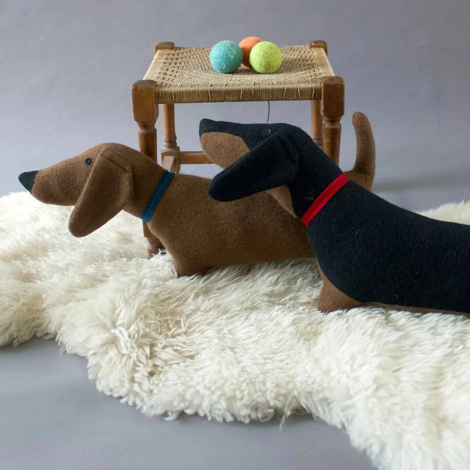 Dachshund Dog