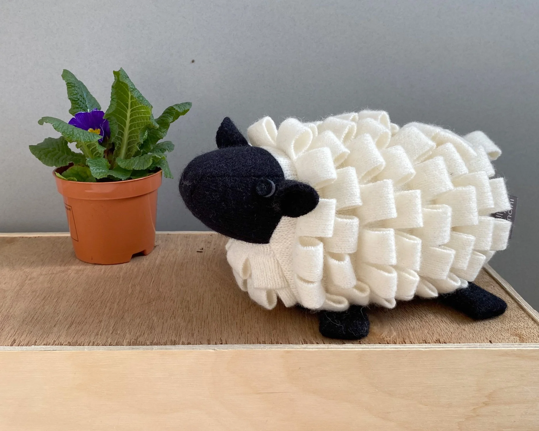 small-sheep-4-white.jpg