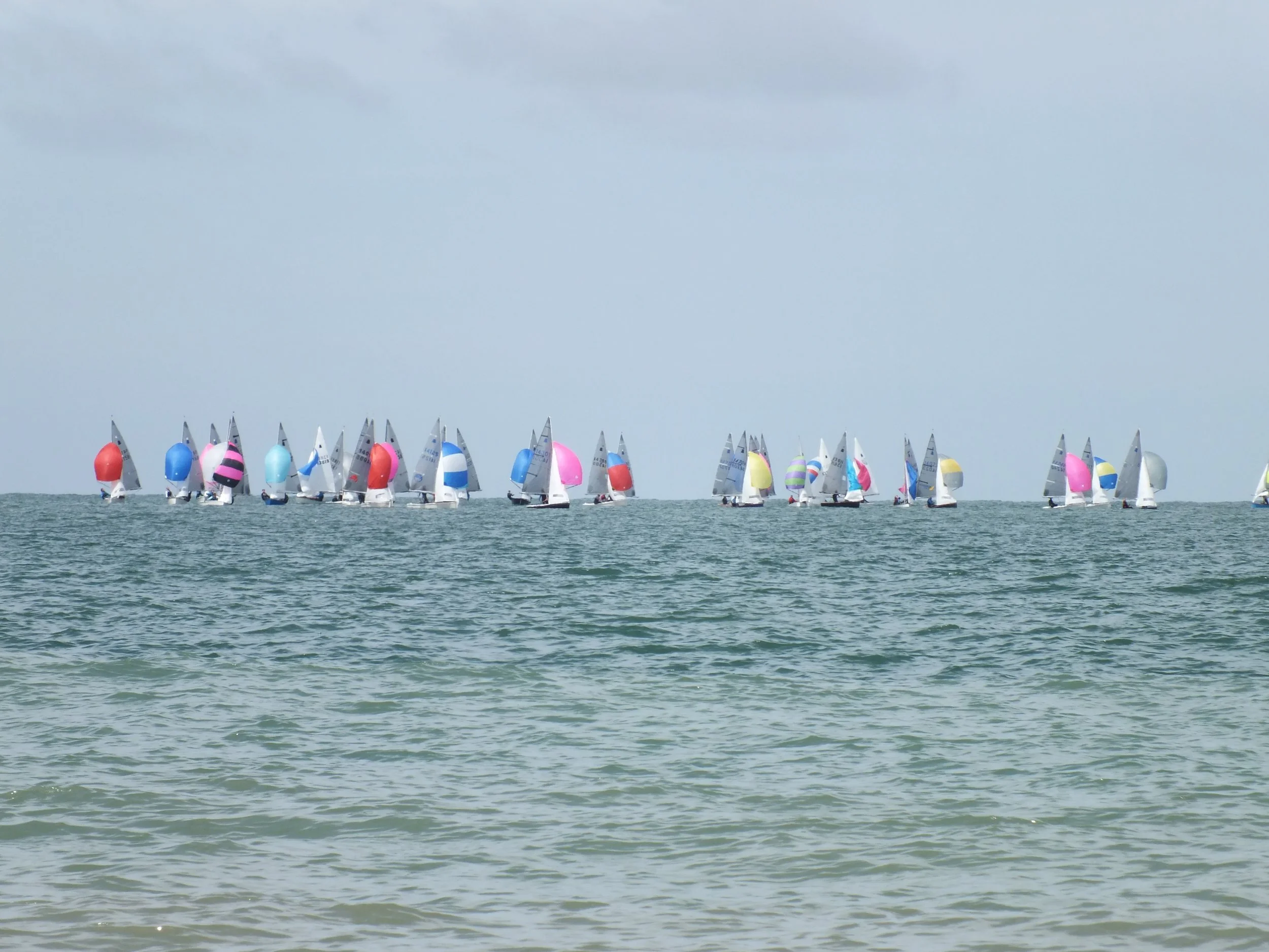 DSCF3351.JPG