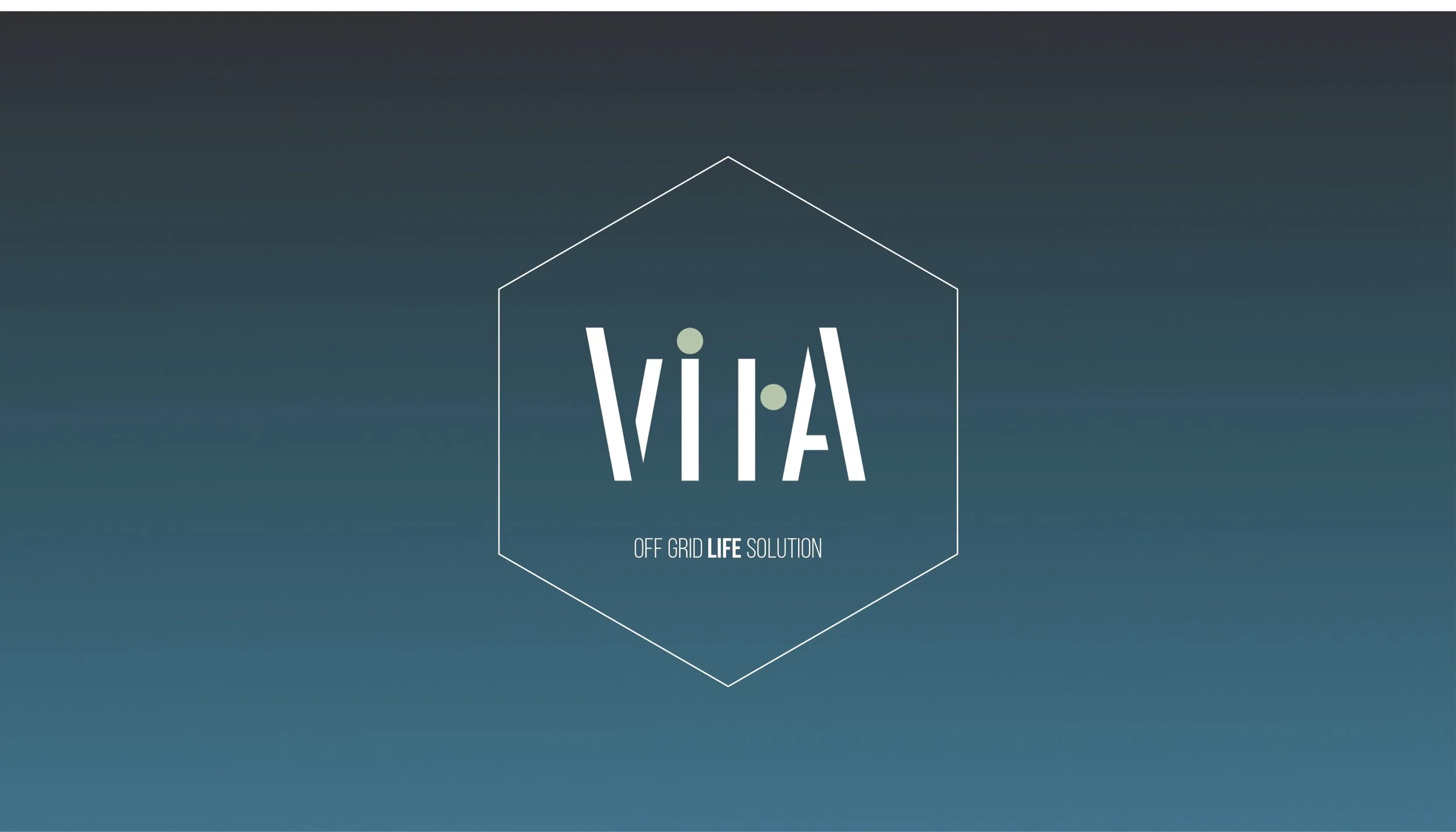 VITA-WEB 2.jpg