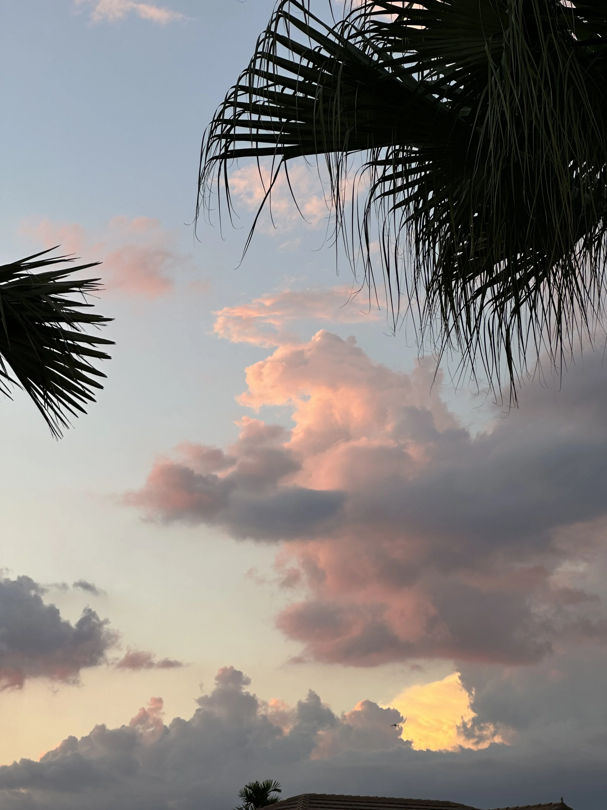 Morning Rituals: How to Cultivate a Positive Mindset for a Successful Day