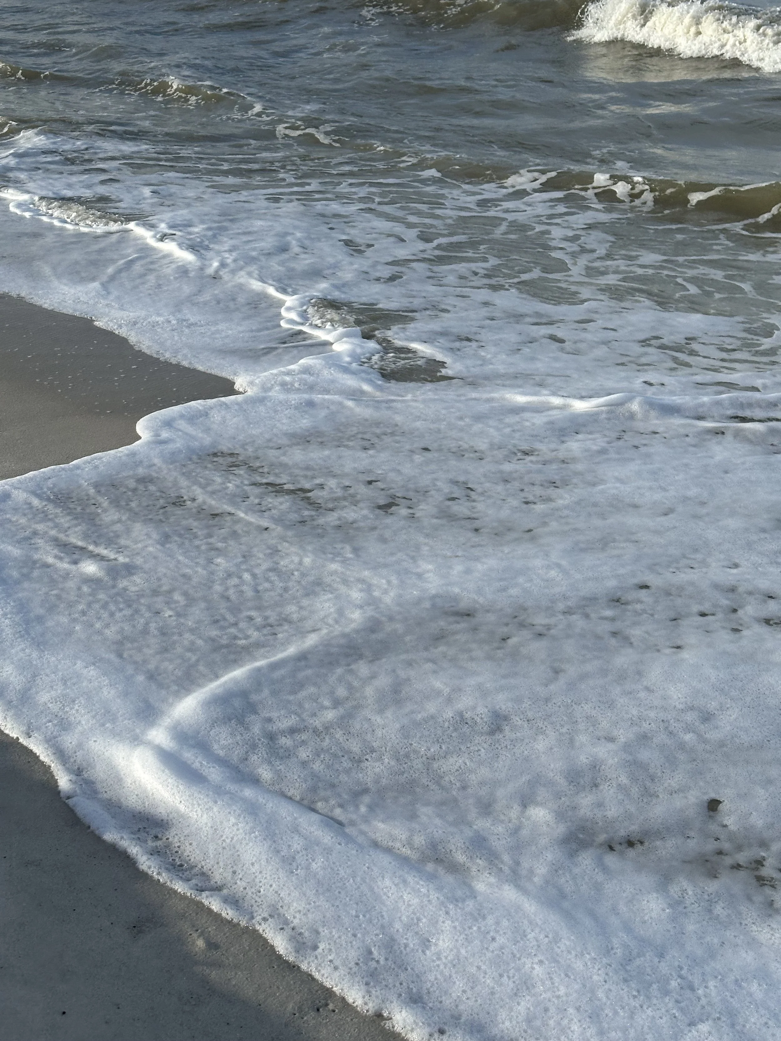 12 Days of Wellness: Day 1 - Mindful Meditation