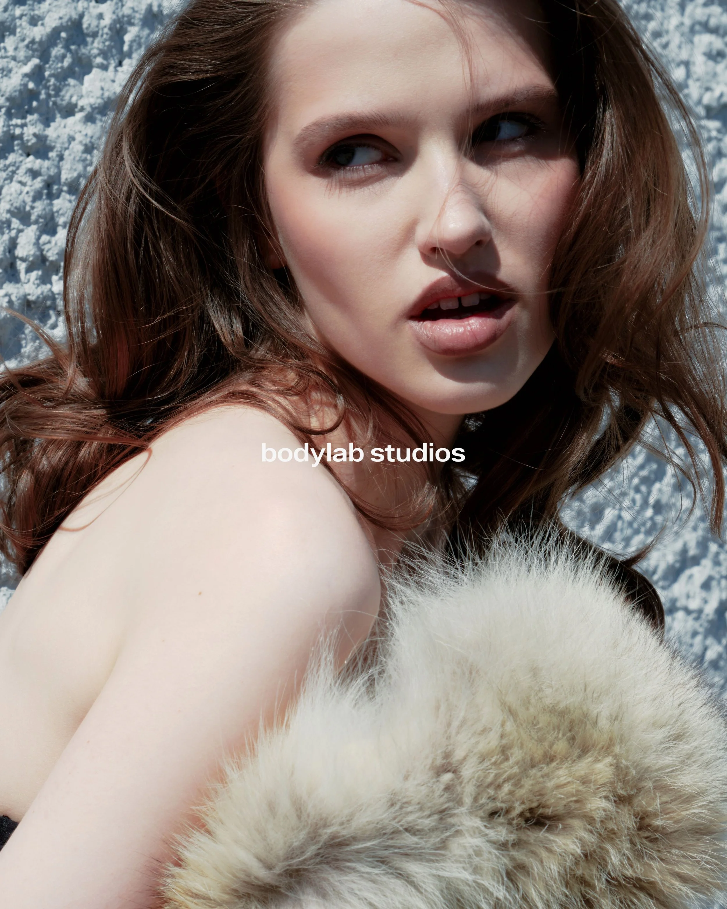10-anna-maas-priority-book-ma.jpg