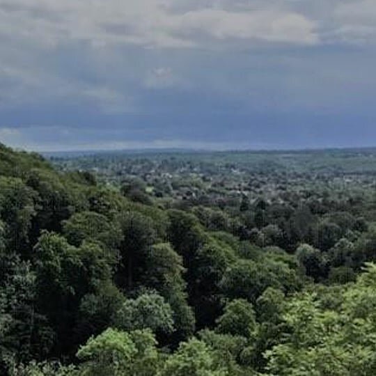 Friends of the Earth are hosting an online workshop on the 24th Sept between 2pm and 4pm called 'Mapping Hope: Finding the land for trees in the West of England'
There are two parts to it:
1) Finding land to double tree cover in the Chew Valley: comb