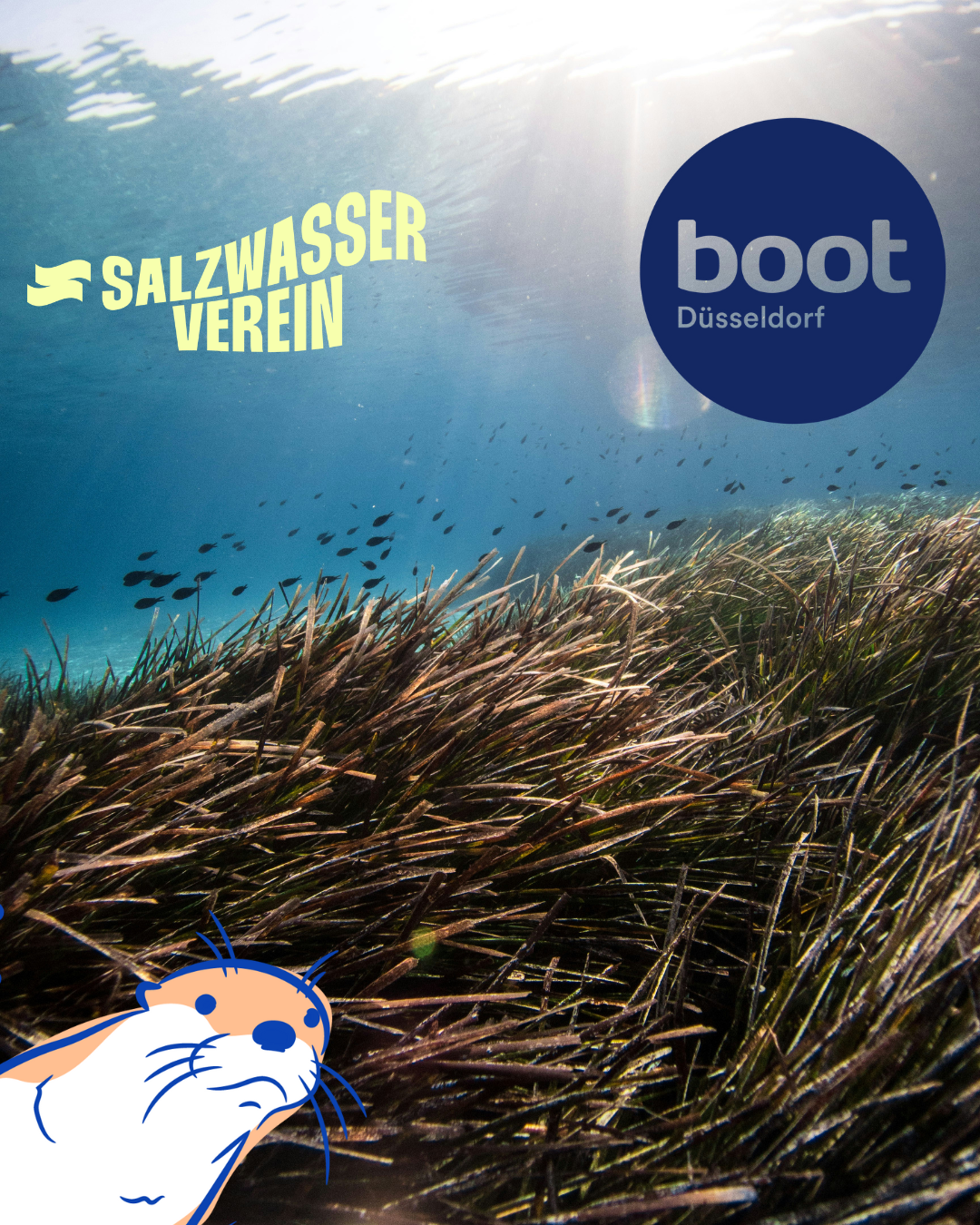 SALZWASSER VEREIN auf der boot
