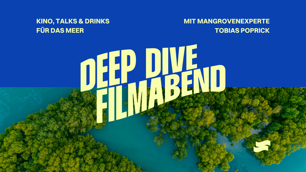 Deep Dive goes BREMEN - Filmabend &amp; Talk mit Mangrovenexperte Tobias Poprick vom ZMT