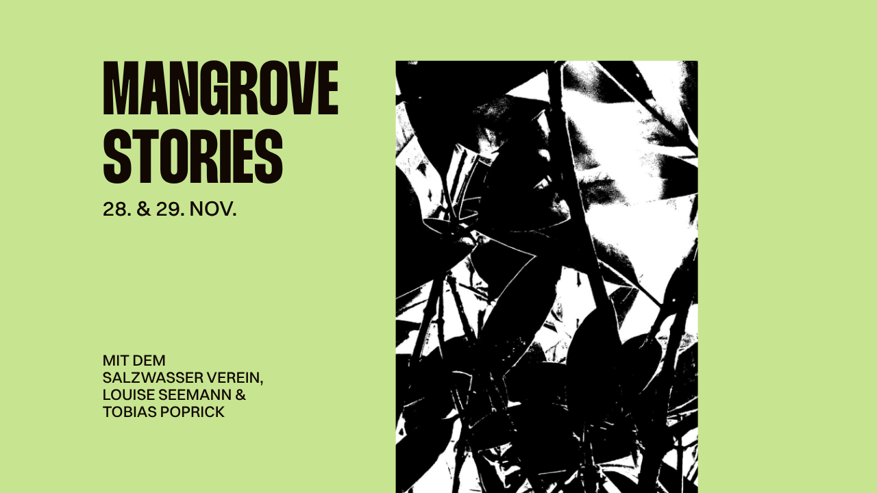 MANGROVE STORIES - Ein Deep Dive in die Mangroven mit Kunst, Talk & Film