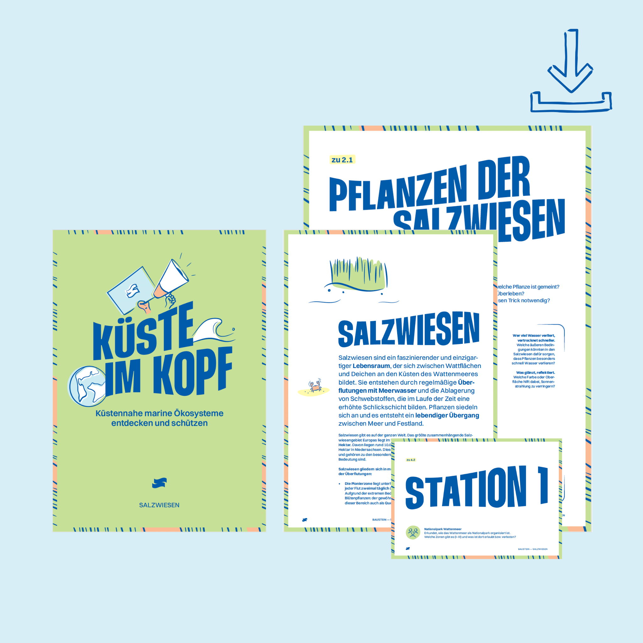 Baustein Salzwiesen - digital