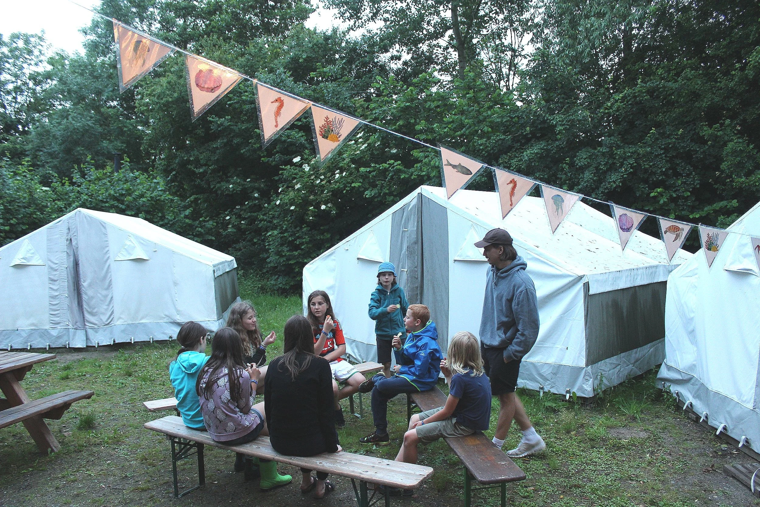 Meerwolf, Werwolf, Gemeinnütziger Verein, Meeresschutz, Umweltschutz, Klimaschutz, Erlebniscamp, Naturcamp, Kindercamp, Sommercamp