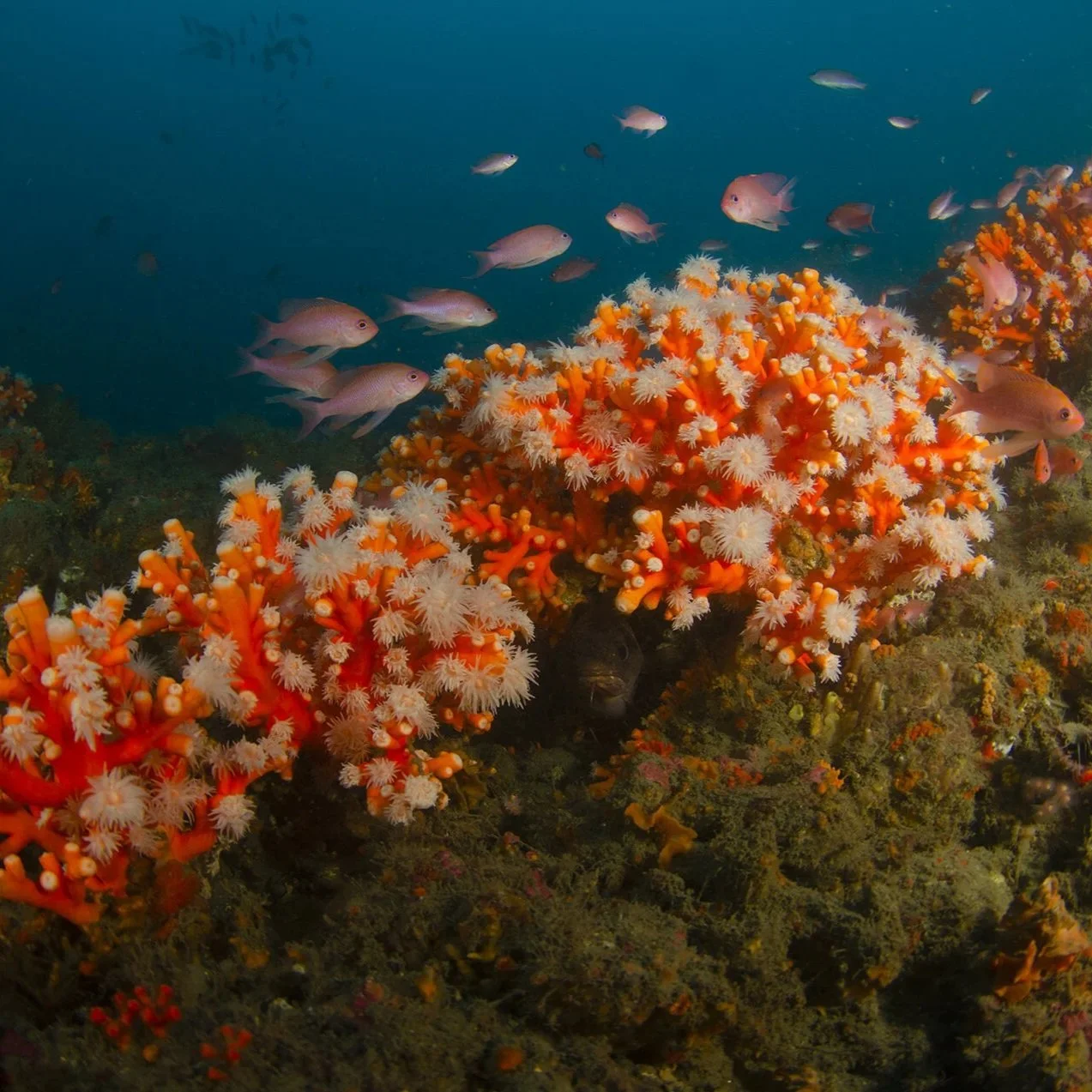 DSC_4320.jpg (Kopie)