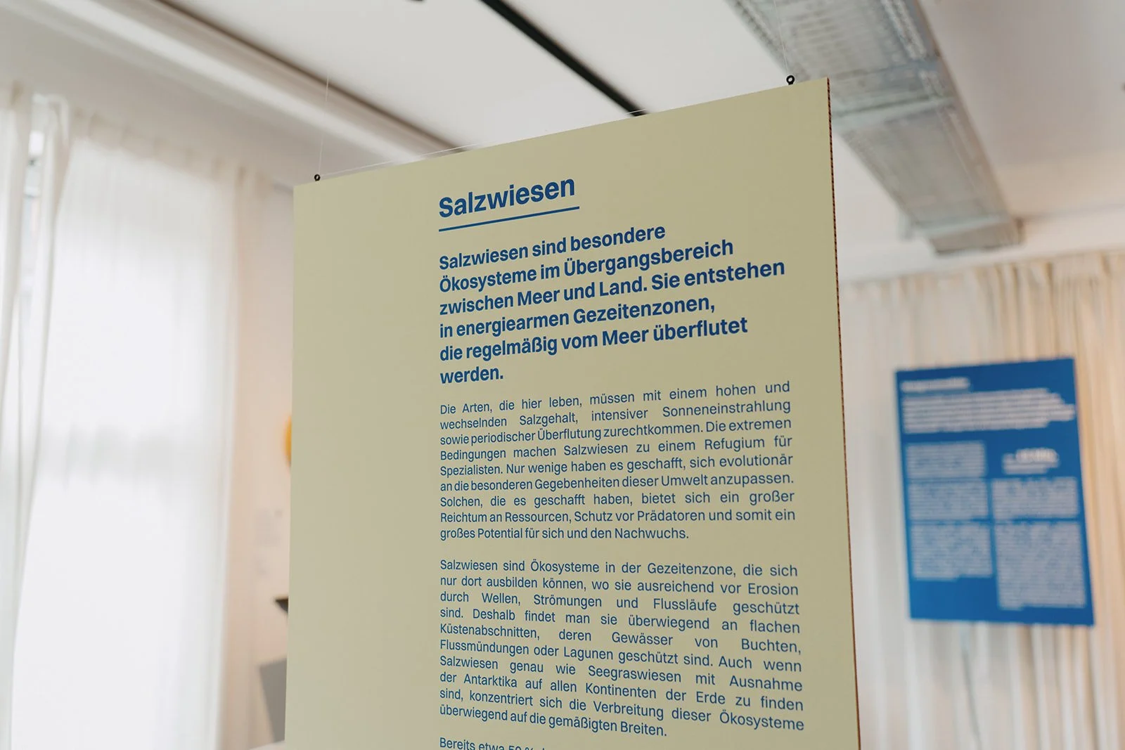 (c) Lena Steinke
