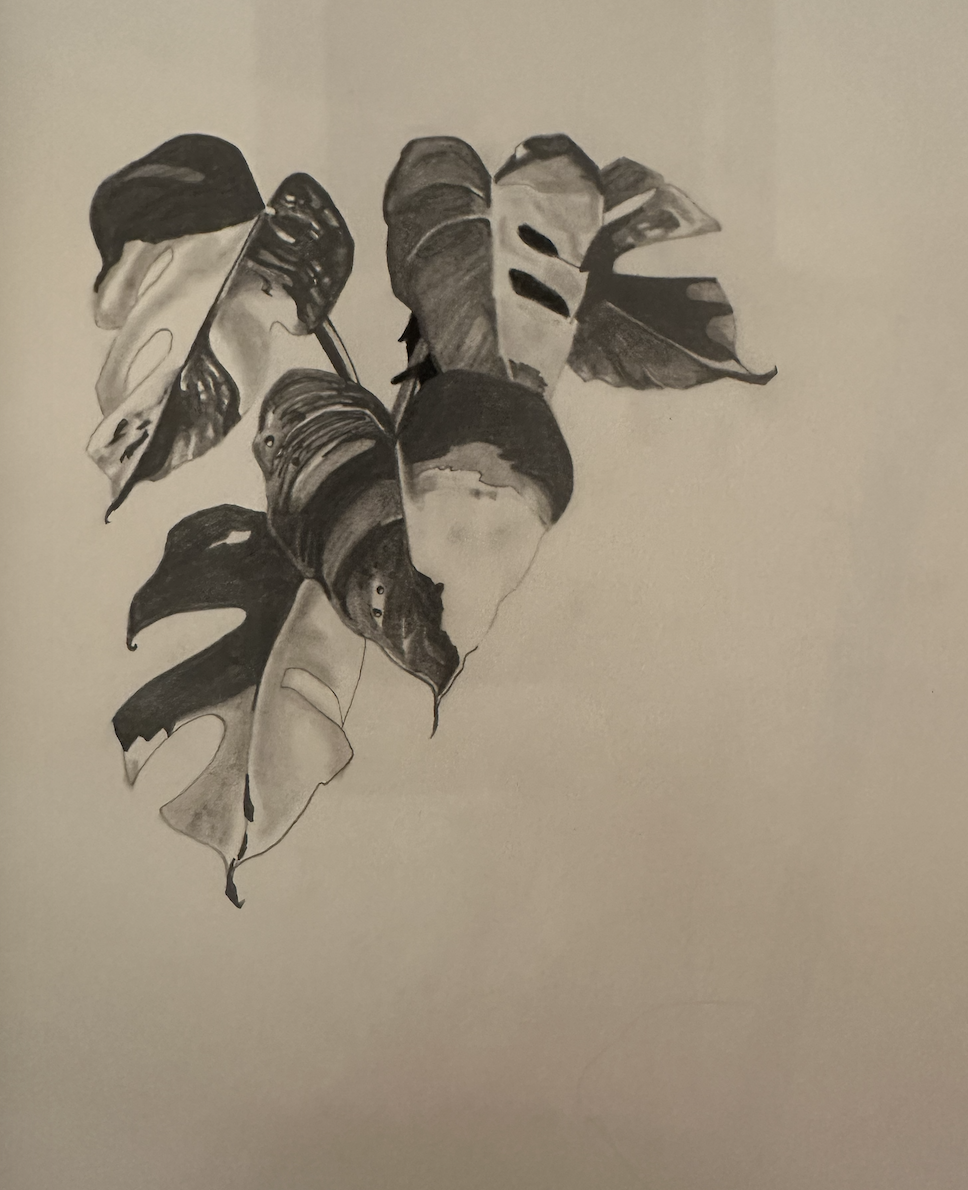 Screenshot 2026-03-29 at 17.57.21.png