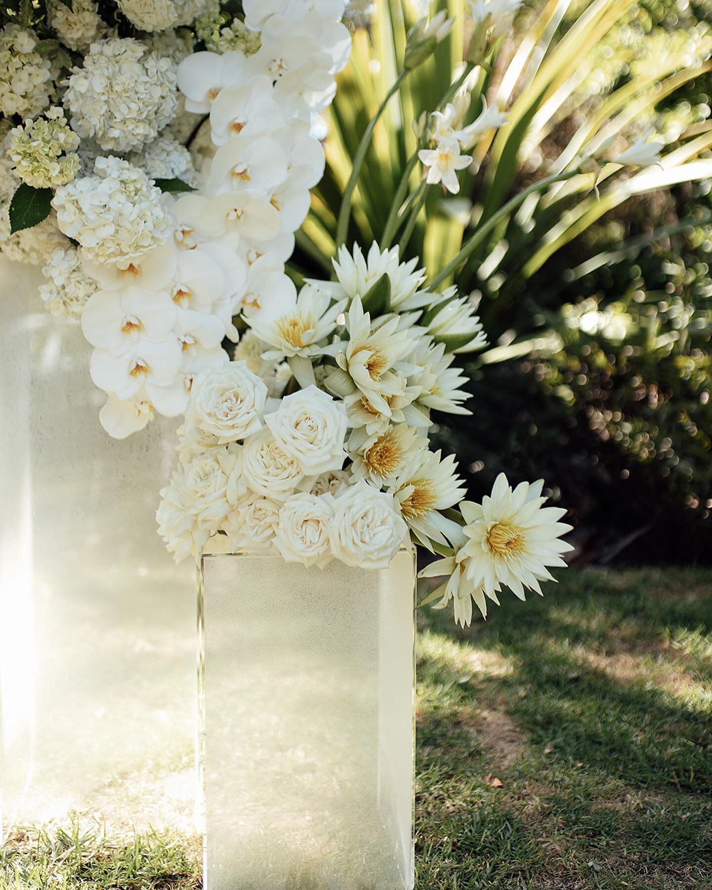 Ceremony details for Dale &amp; Glenn 🤍

Styling &amp; Planning by us 
Photo: @smokey_oscar Flowers: @ivy_and_eve_flowers 
Music: @jackandjordanmusic 
Stationery: @jemandi_designs 
Venue: @gardenshouseag