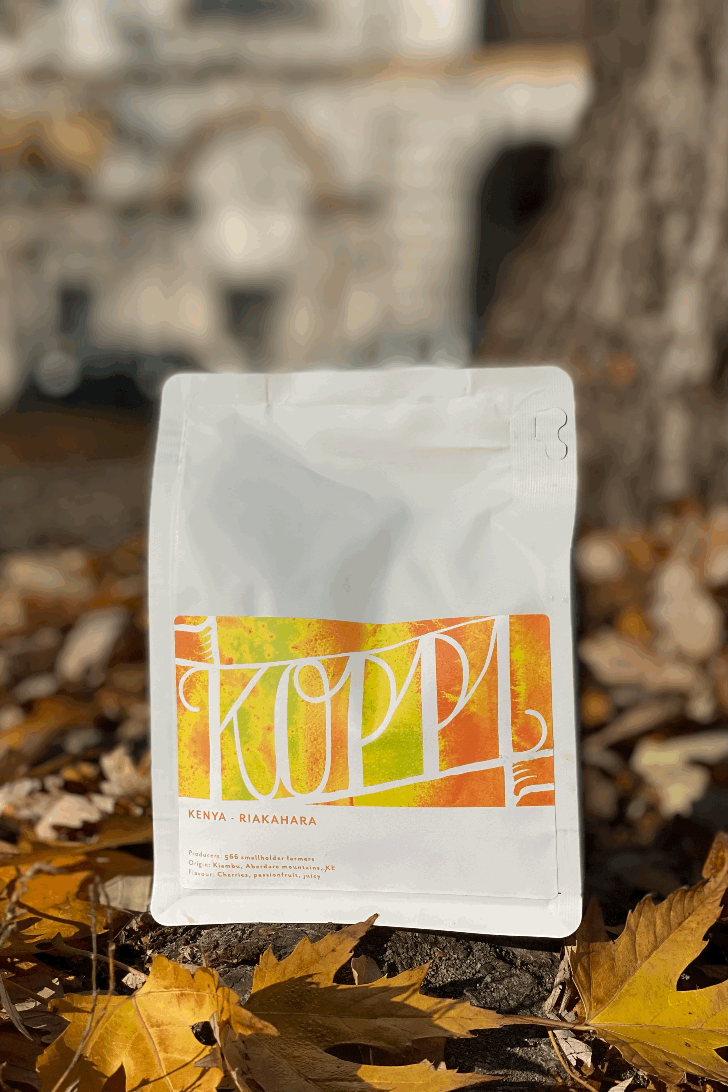 Subskrypcja #11.2021