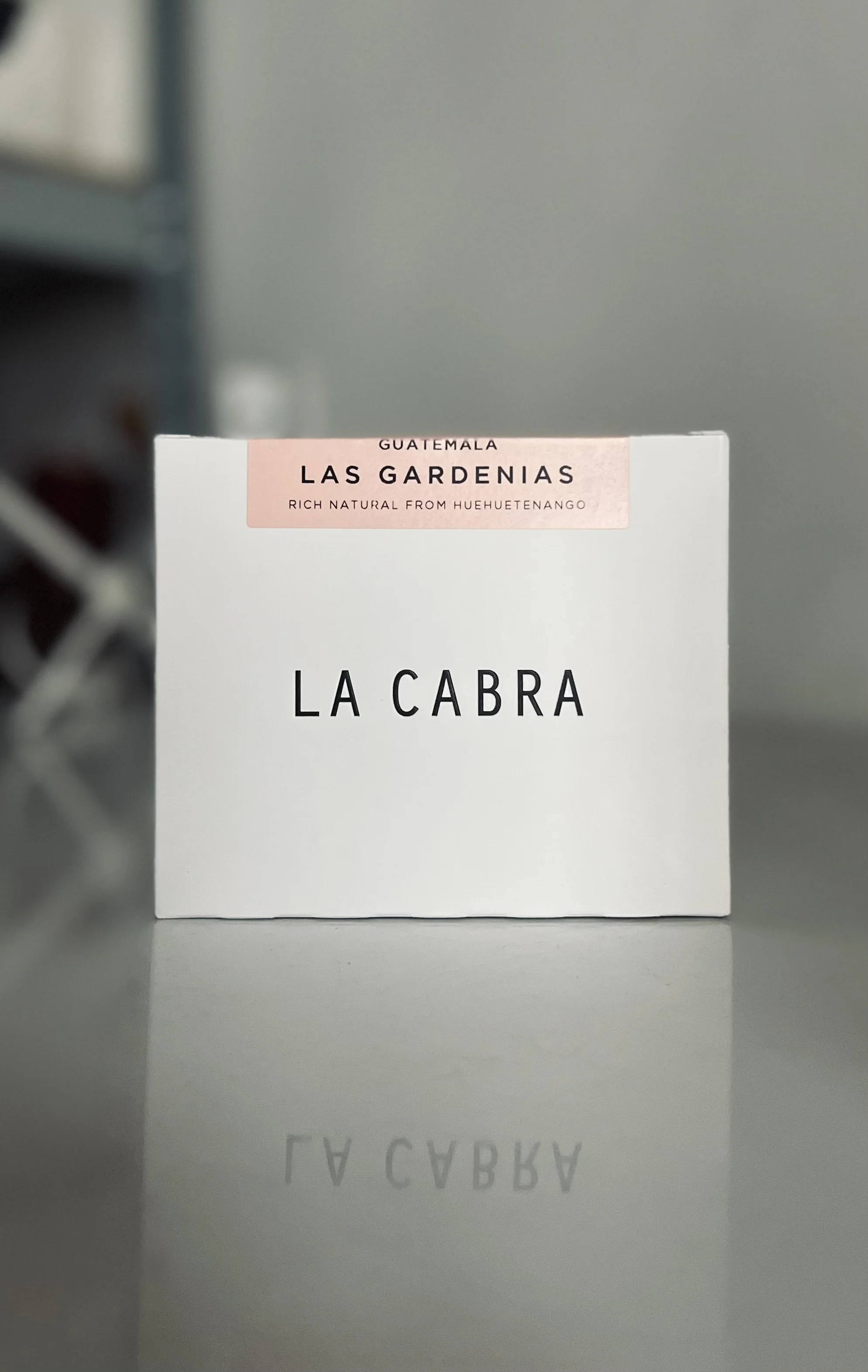 Subskrypcja #11.2022