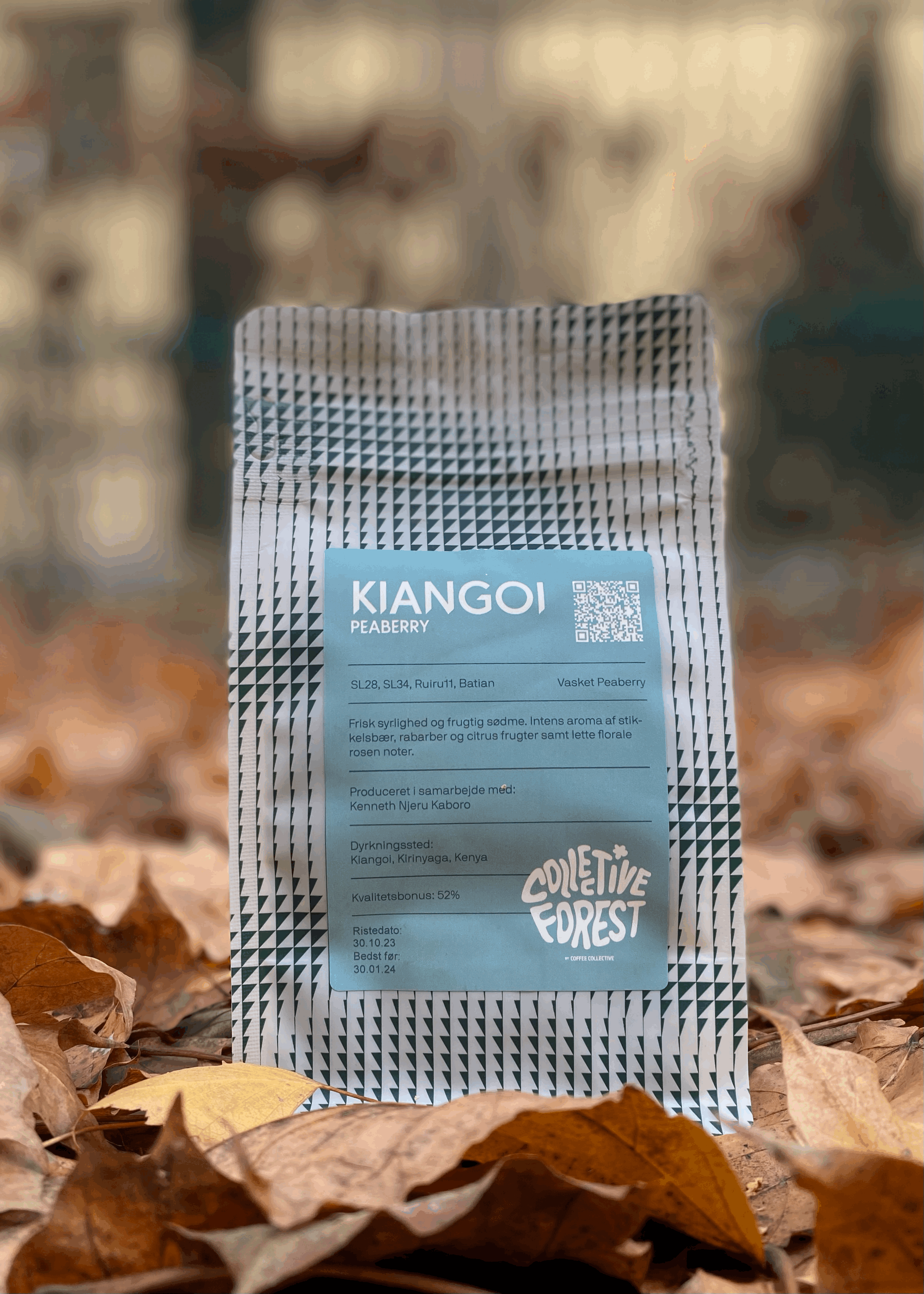 Subskrypcja #11.2023