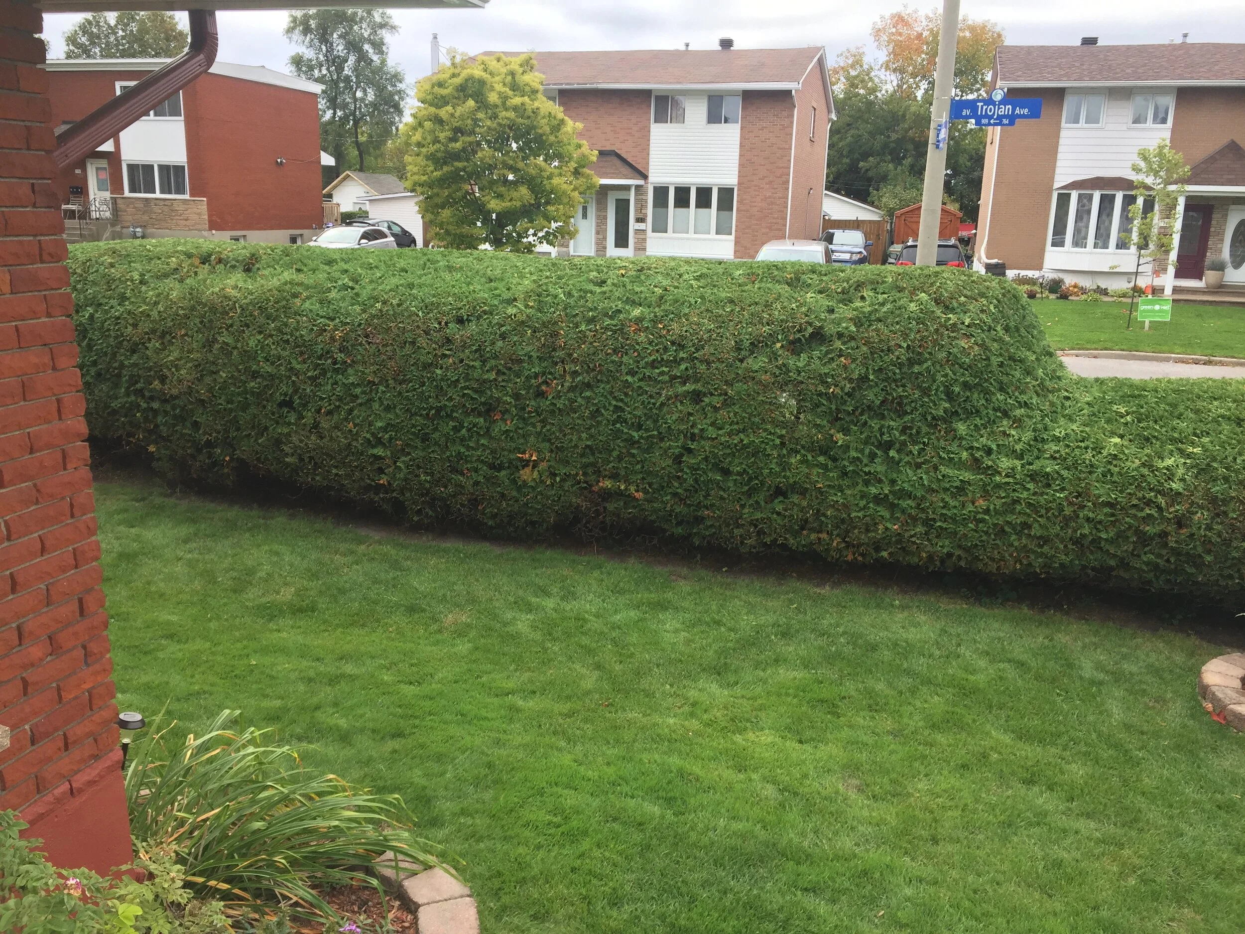 Services — Cedar Saber